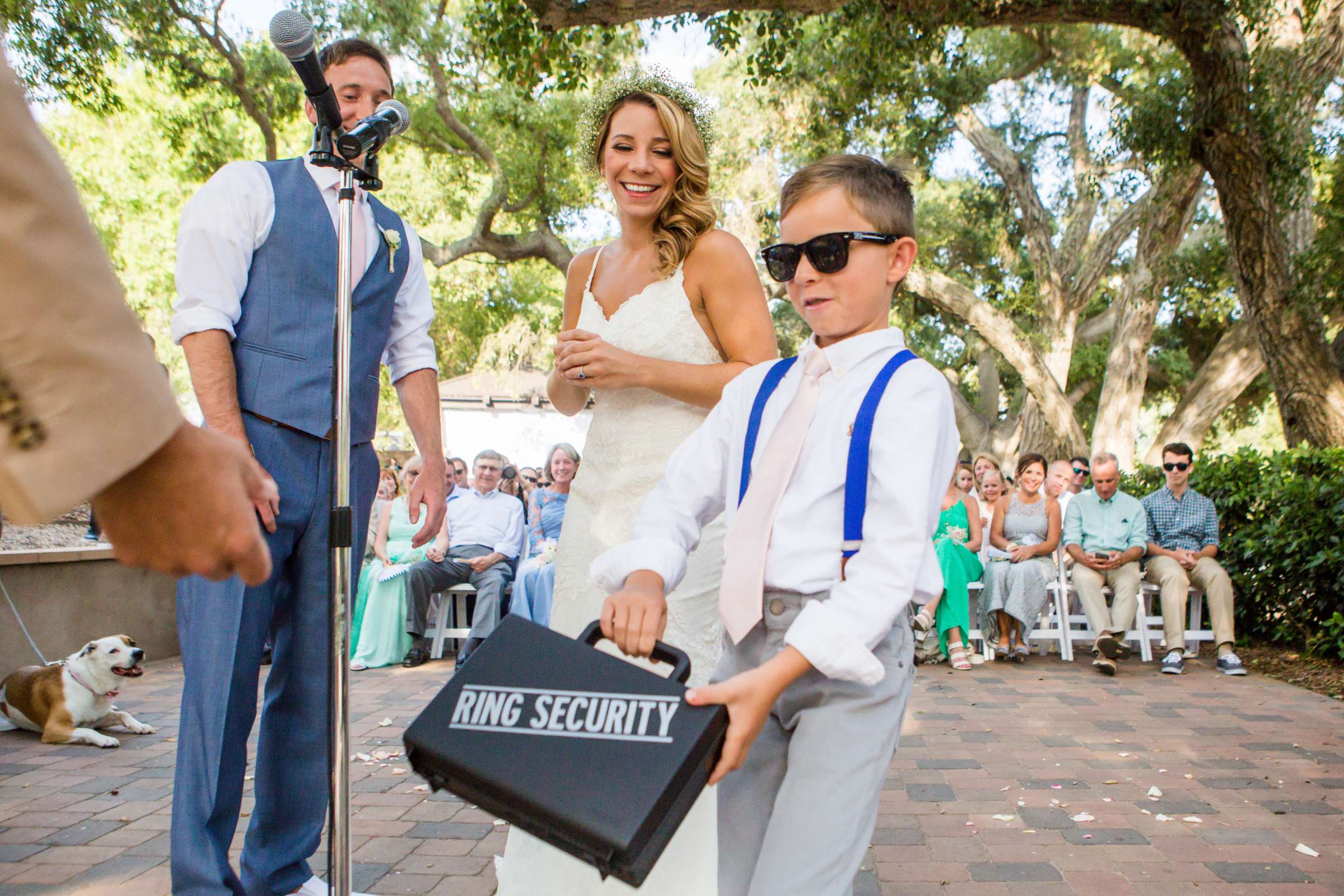 Ring Bearer at Wedding, Kate and Brad Wedding Photo #249968 by True Photography