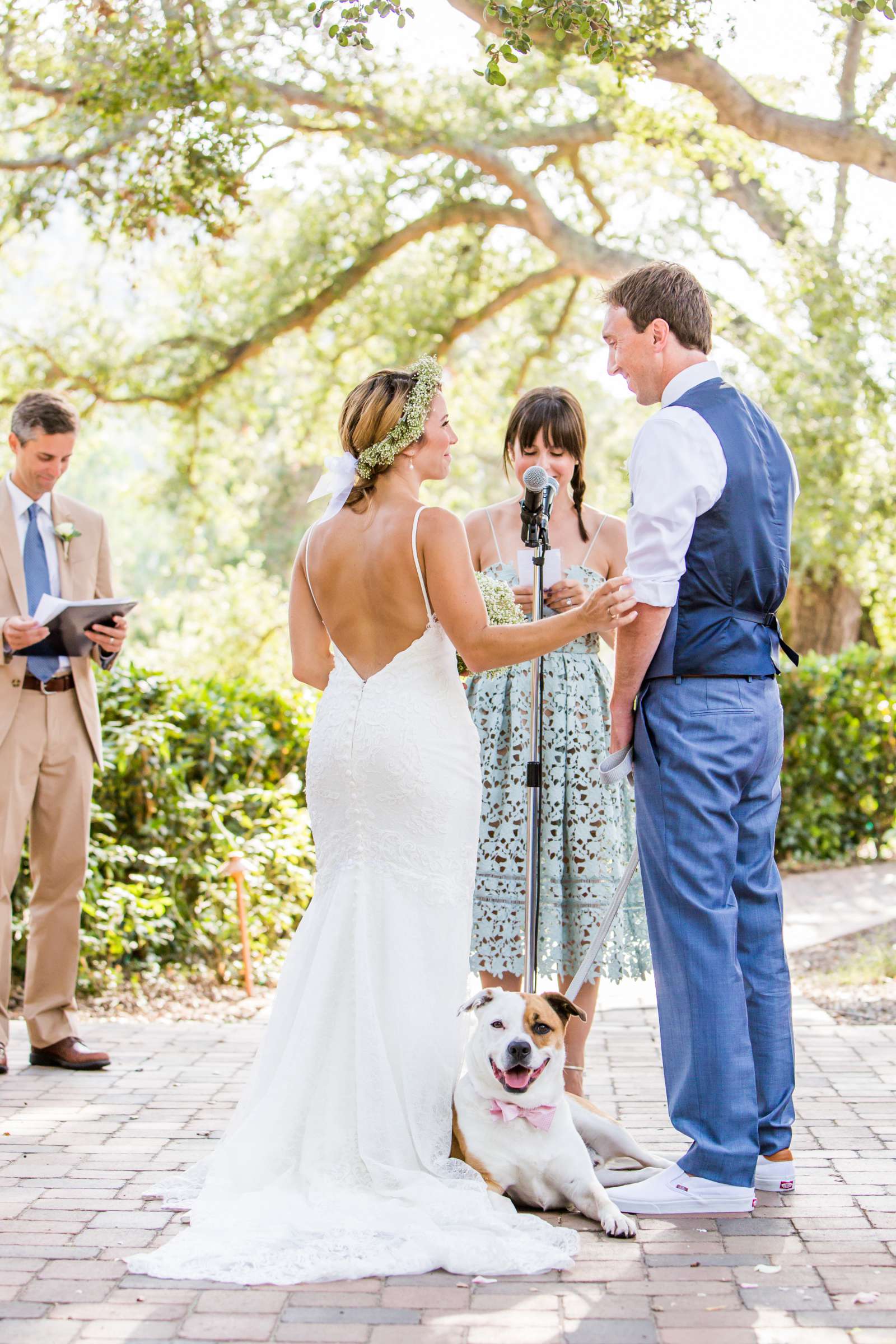 Wedding, Kate and Brad Wedding Photo #249976 by True Photography