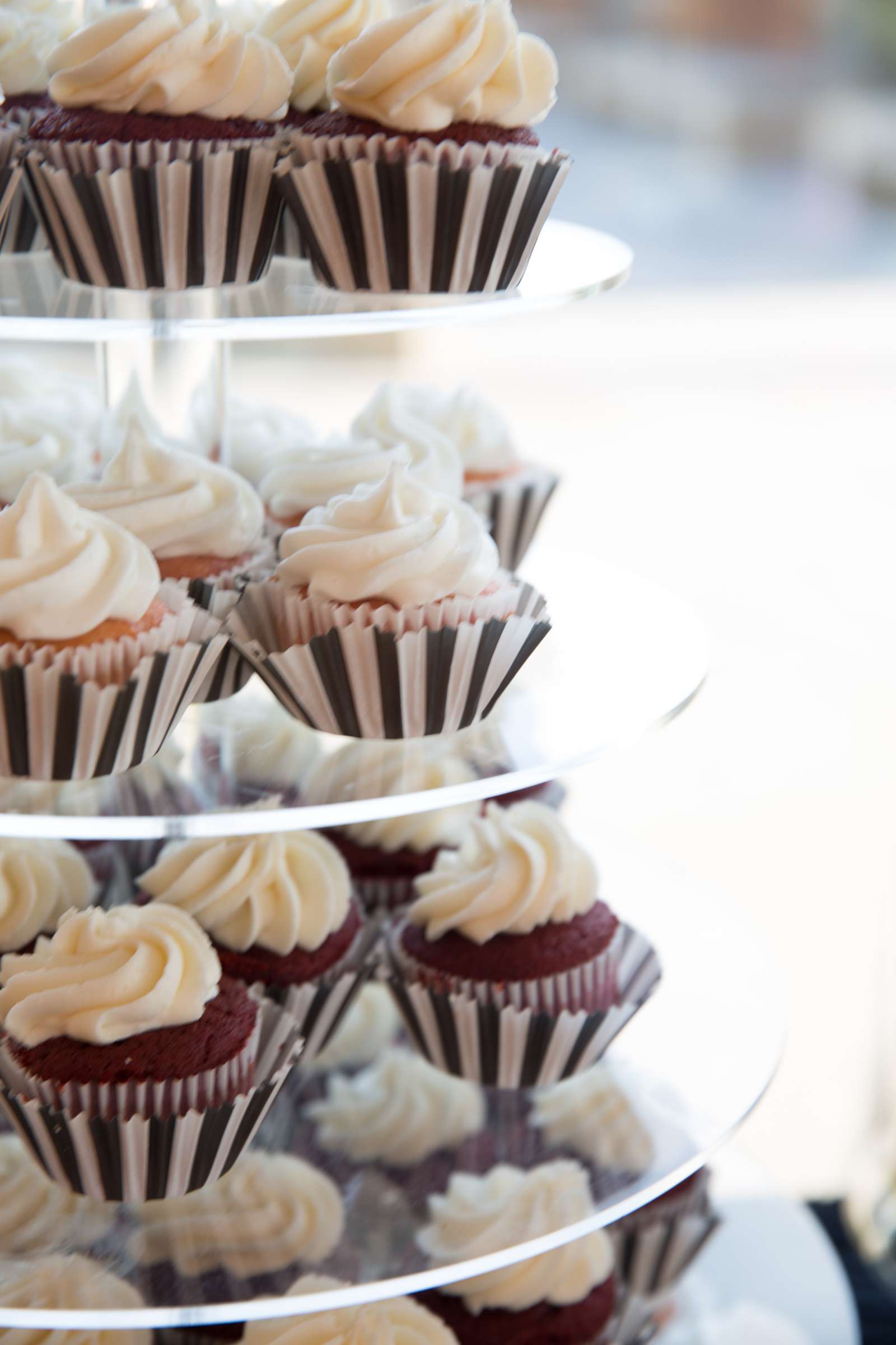 Scripps Seaside Forum Wedding, Callie and Robert Wedding Photo #264227 by True Photography