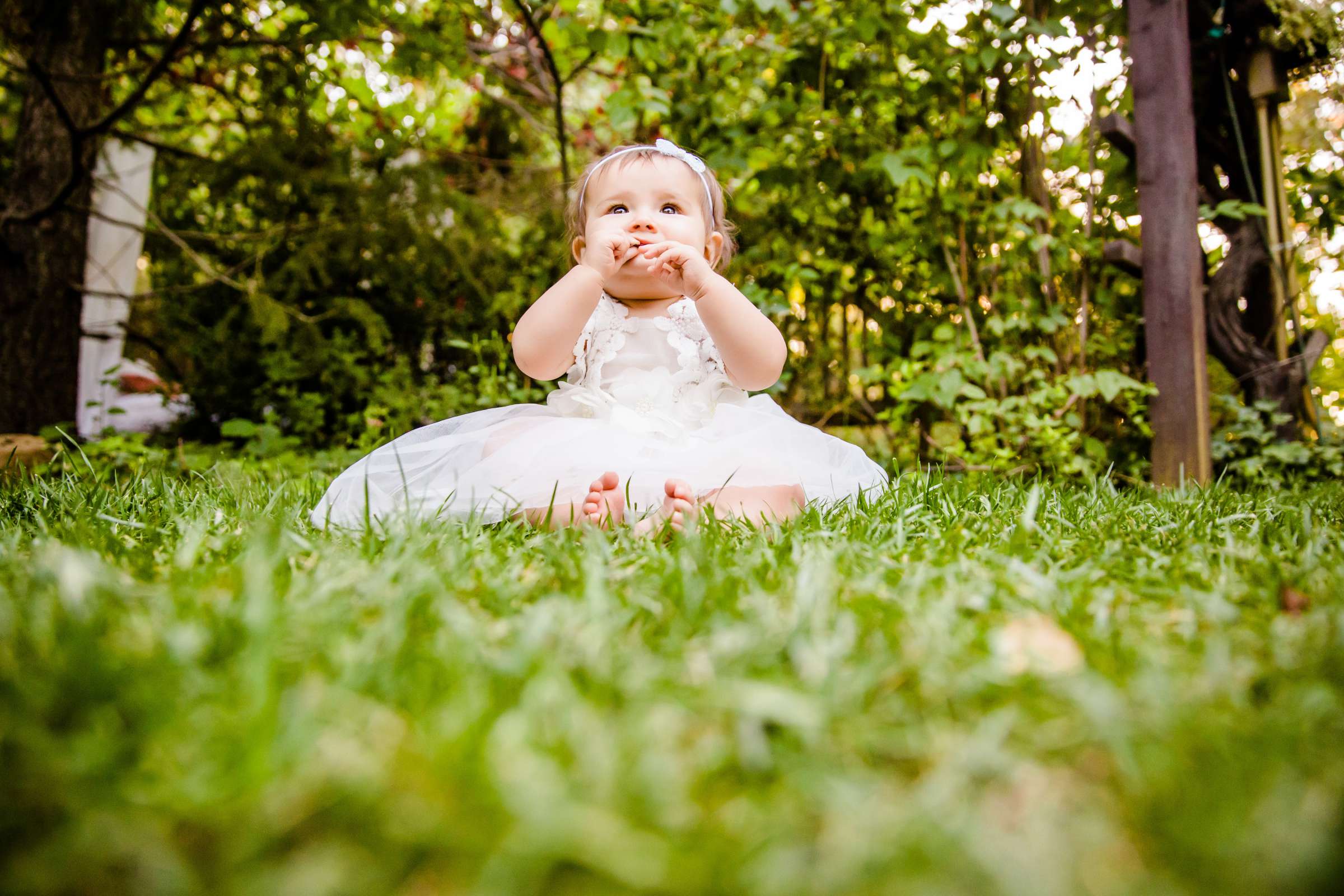 Sacred Mountain Retreat Wedding, Katelyn and Osvaldo Wedding Photo #266145 by True Photography