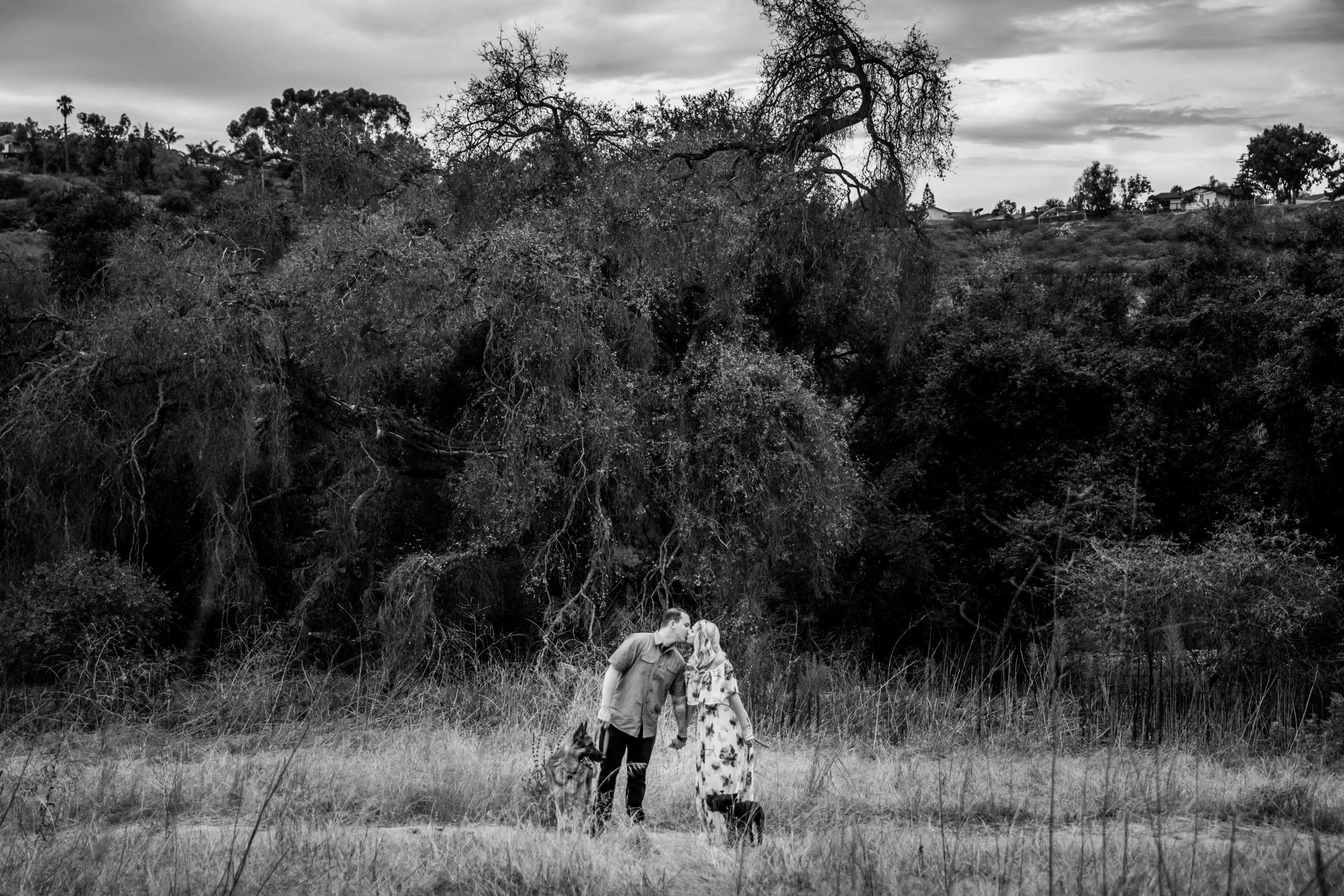 Engagement, Christy and Max Engagement Photo #268932 by True Photography