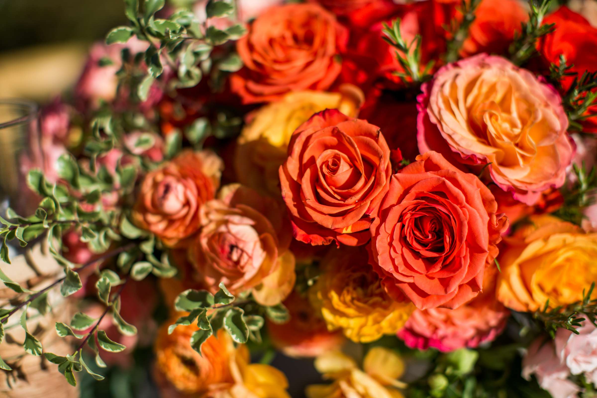 Private Residence Wedding coordinated by Levine Fox Events, Julie and Jason Wedding Photo #165 by True Photography