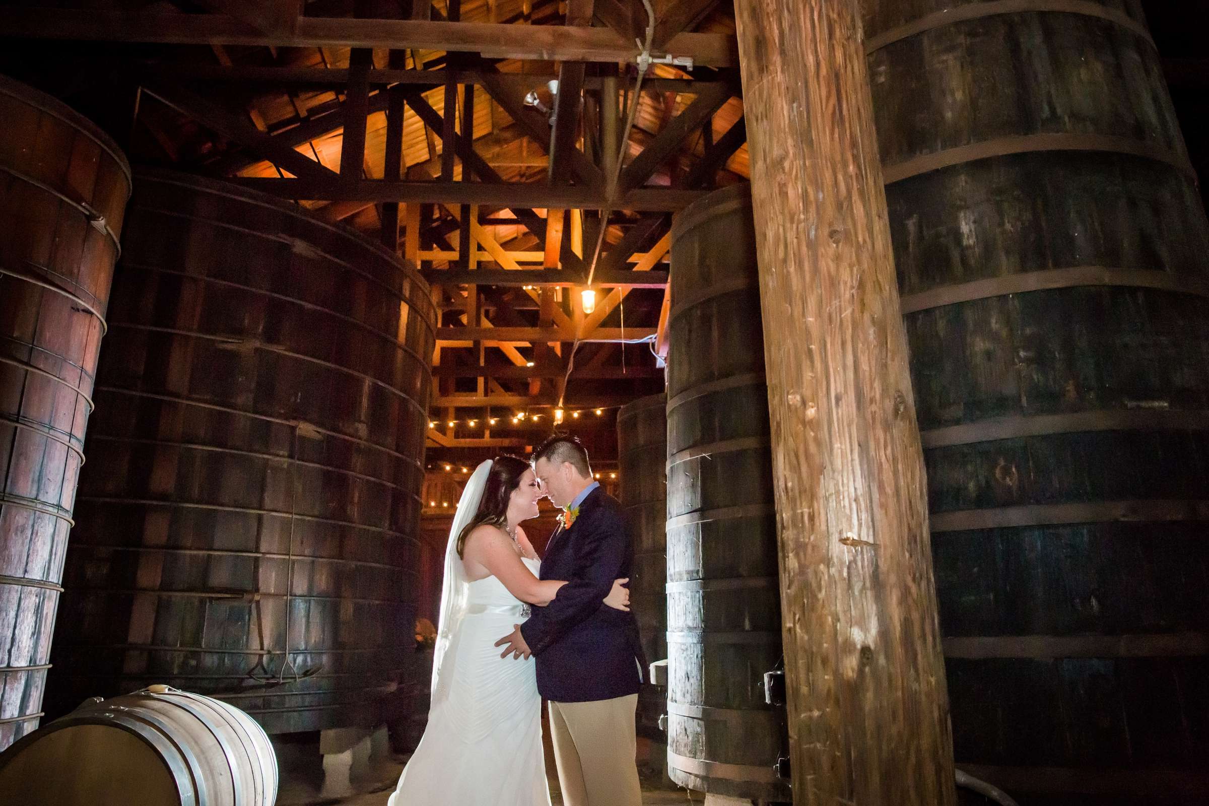 Bernardo Winery Wedding, Jennifer and Paul Wedding Photo #282397 by True Photography