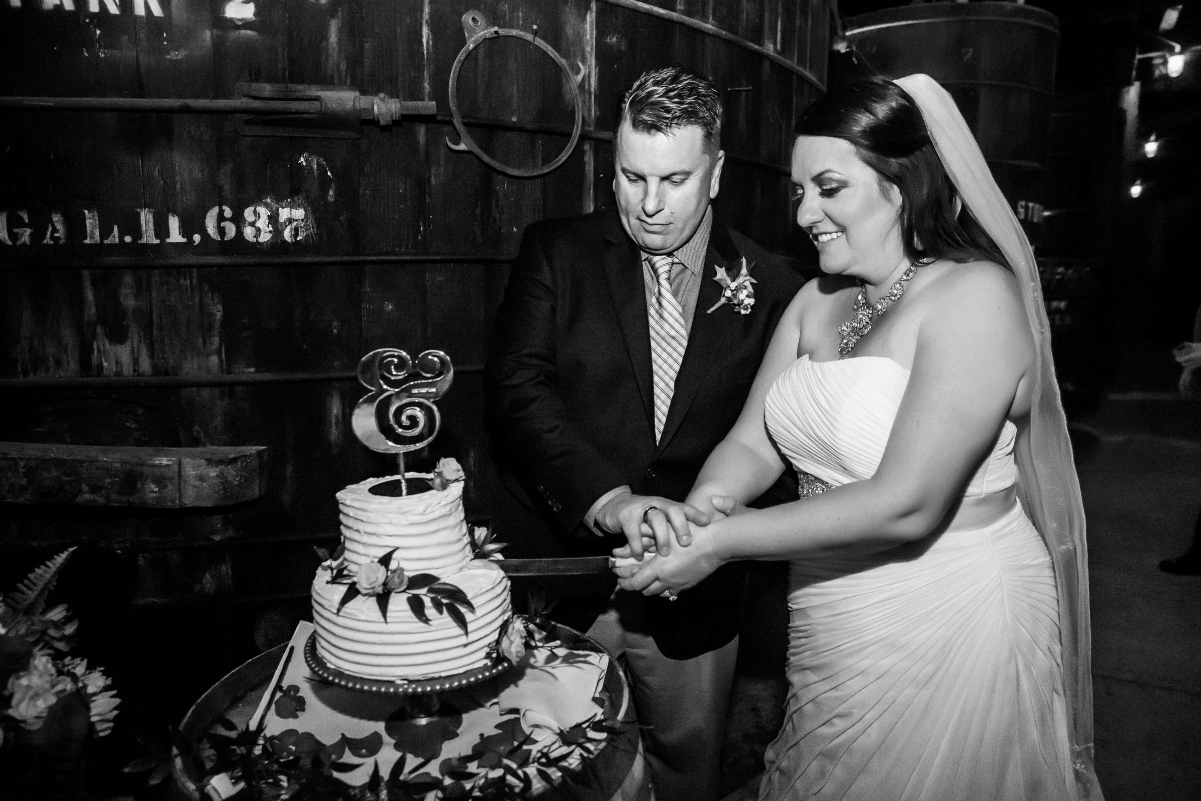 Bernardo Winery Wedding, Jennifer and Paul Wedding Photo #282496 by True Photography