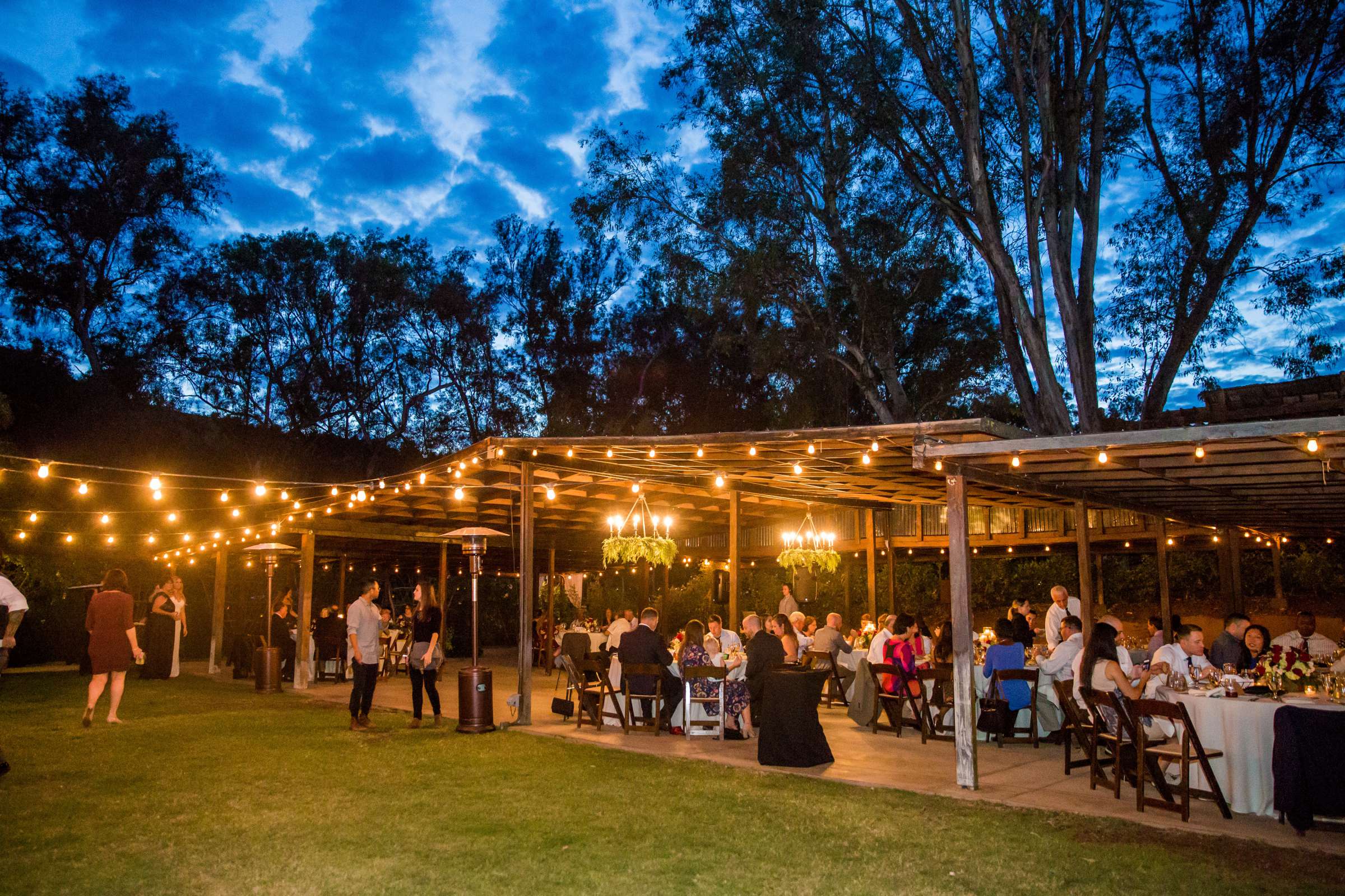 Quail Haven Farm Wedding coordinated by LVL Weddings & Events, Melissa and Ryan Wedding Photo #284822 by True Photography