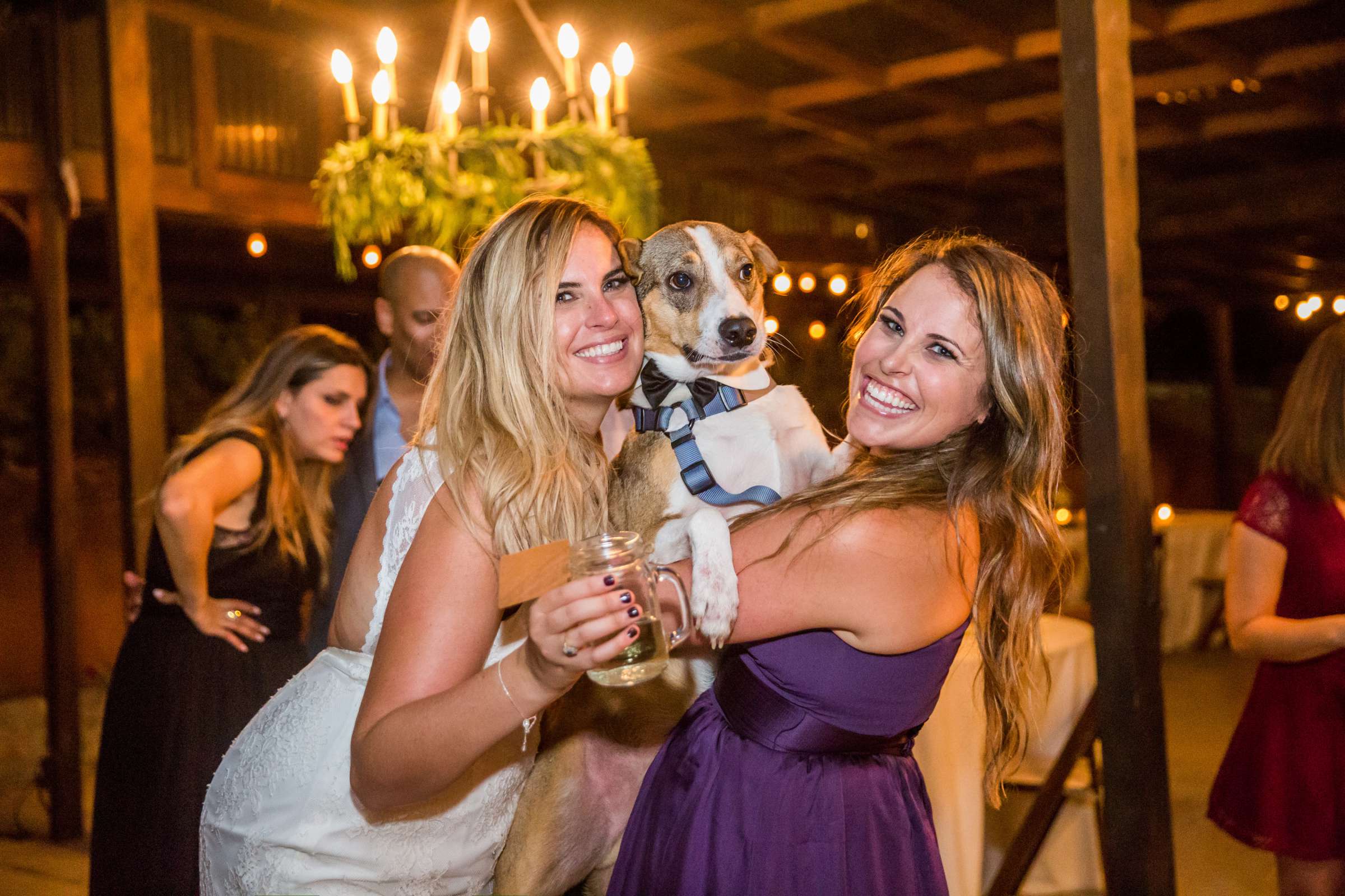 Quail Haven Farm Wedding coordinated by LVL Weddings & Events, Melissa and Ryan Wedding Photo #284853 by True Photography