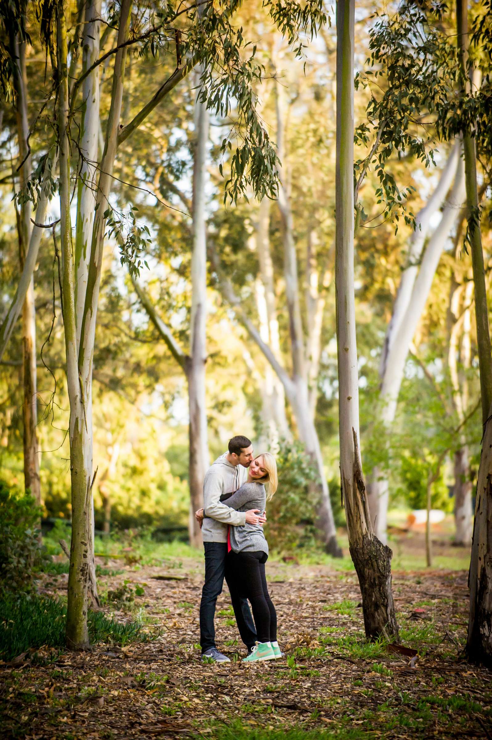 Engagement, Danielle and Shawn Engagement Photo #288308 by True Photography