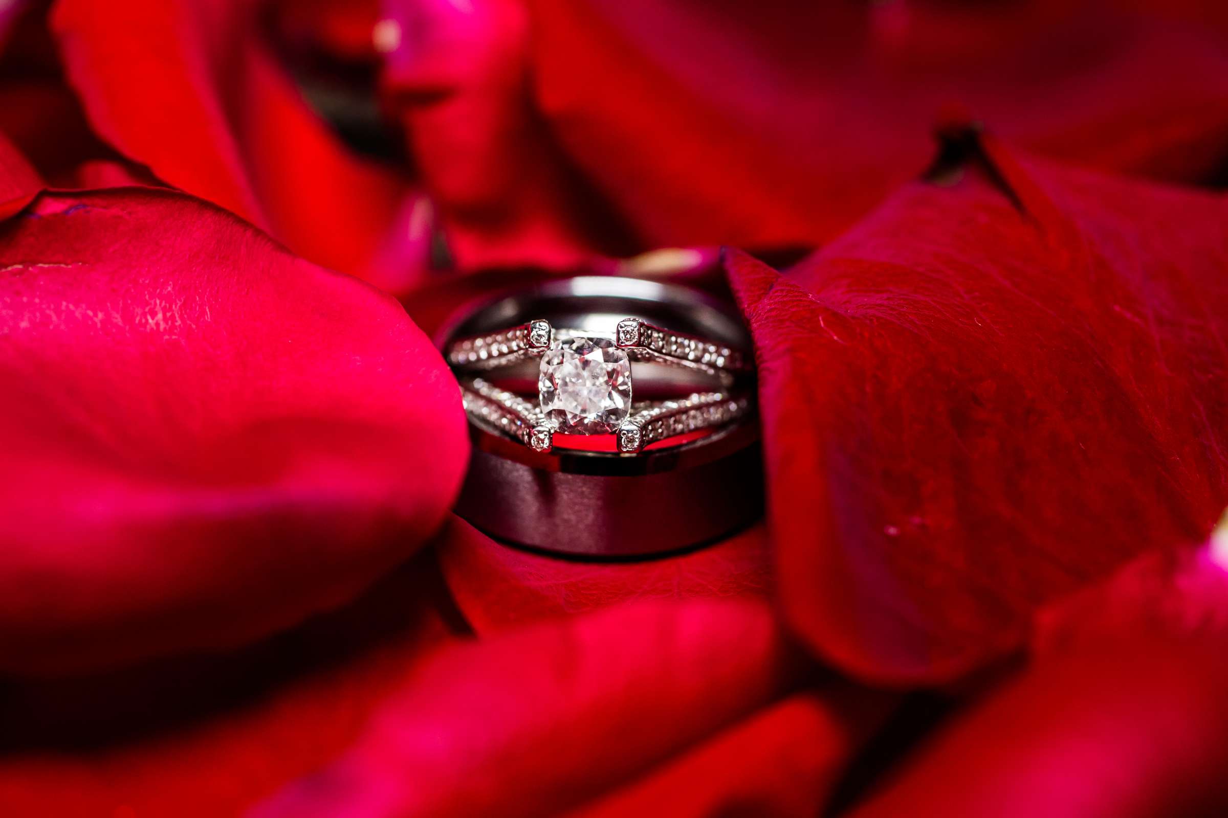 The University Club Atop Symphony Towers Wedding coordinated by Maggie Tyler Events, Heather and Andrew Wedding Photo #109 by True Photography