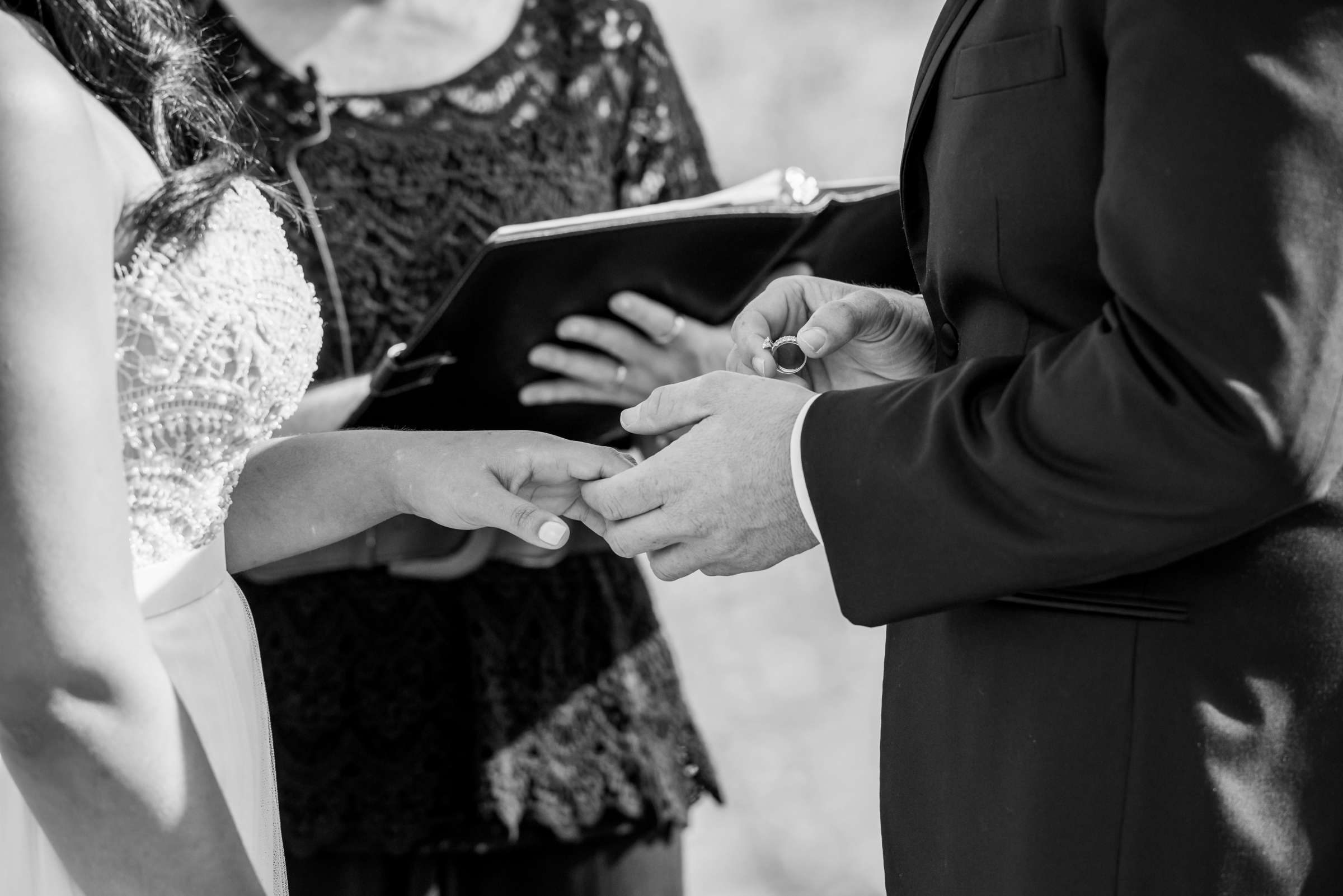 Orfila Vineyards Wedding, Holly and Andrew Wedding Photo #289581 by True Photography