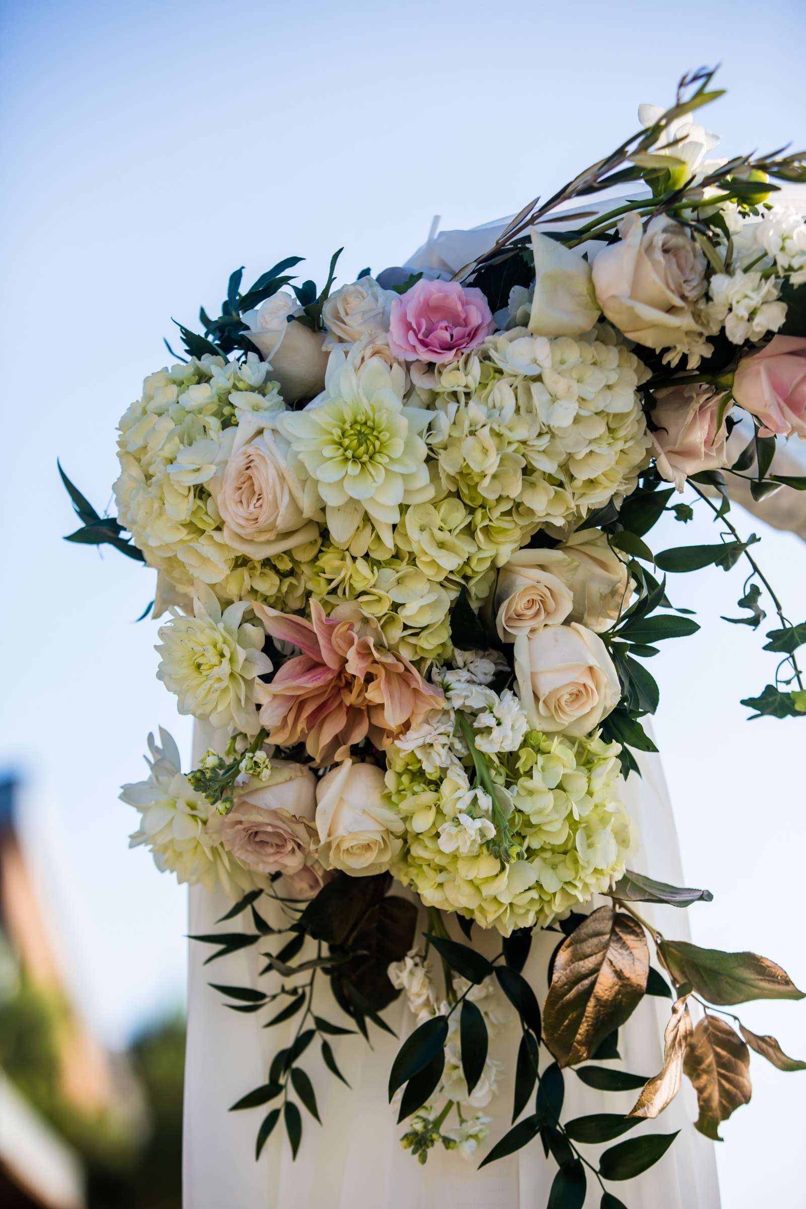 Scripps Seaside Forum Wedding coordinated by I Do Weddings, Ariela and Andrew Wedding Photo #31 by True Photography