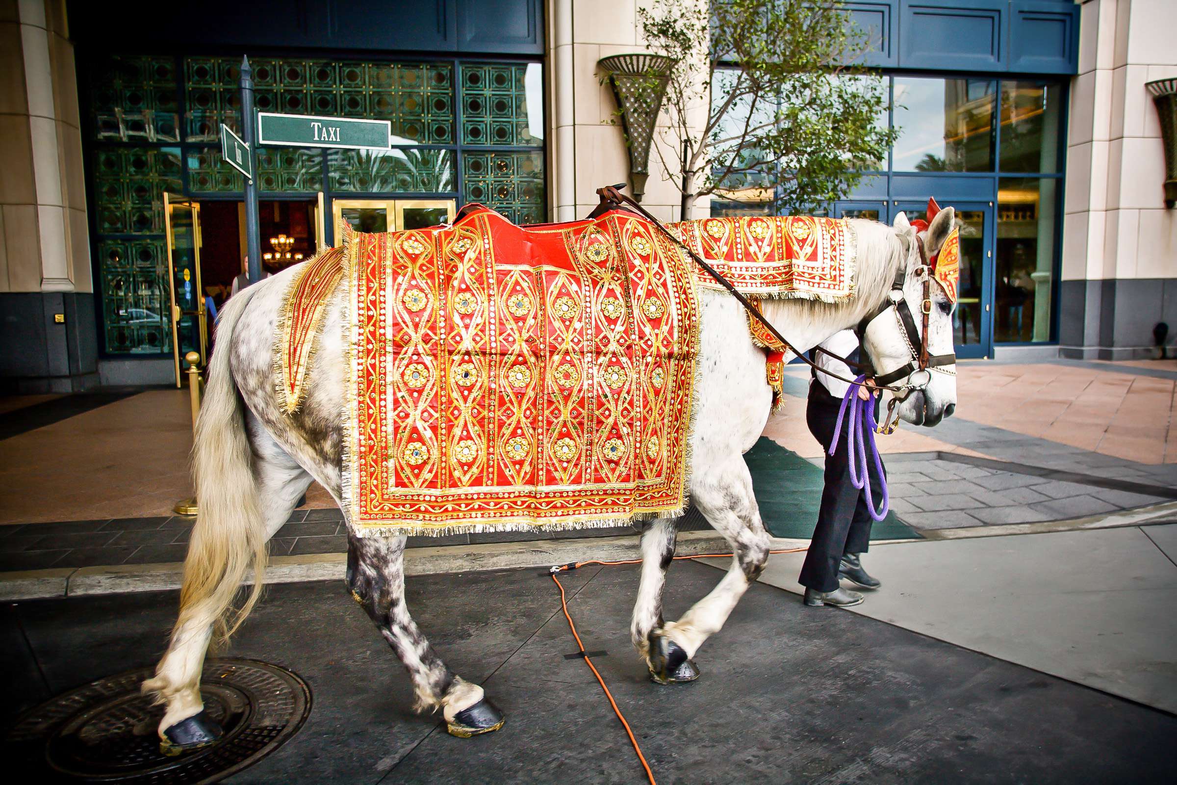 Manchester Grand Hyatt San Diego Wedding coordinated by Ethnic Essence Flowers, Anjali and Jay Wedding Photo #35 by True Photography