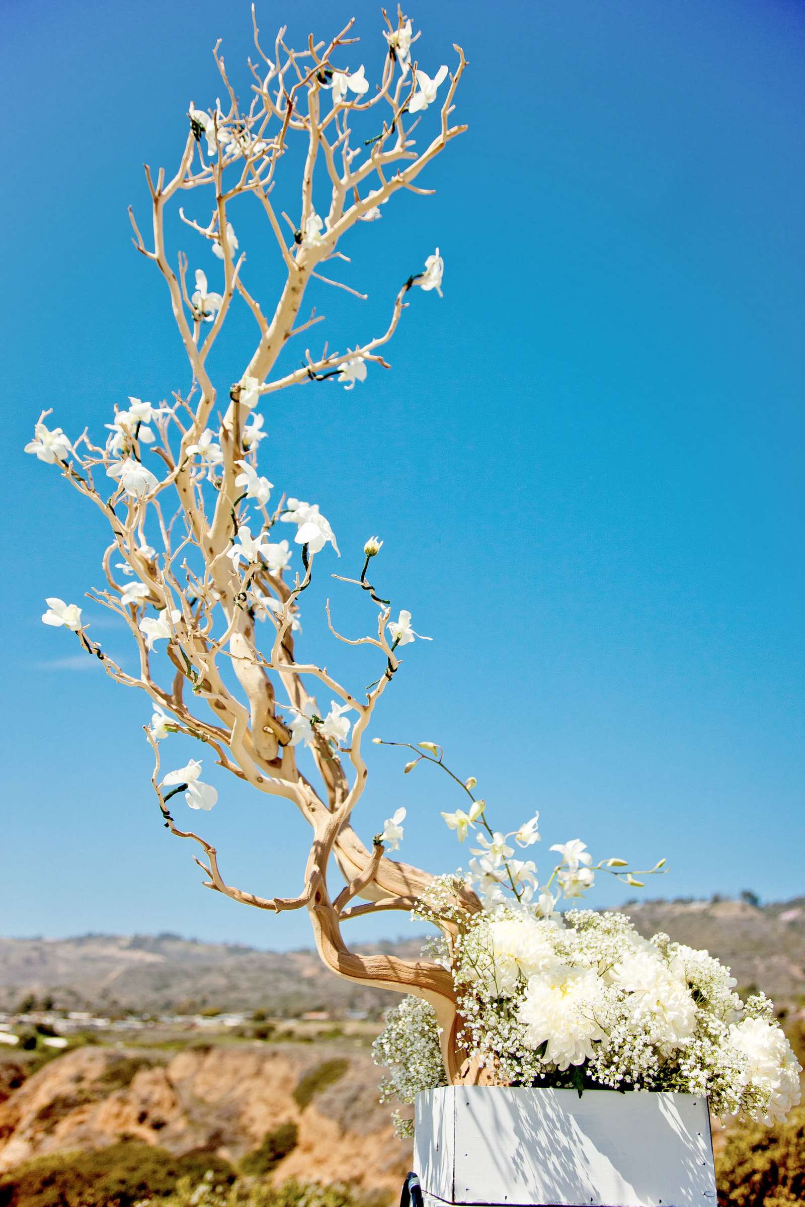 The Trump National Golf Club Rancho Palos Verdes Wedding, Christie and Johan Wedding Photo #302462 by True Photography