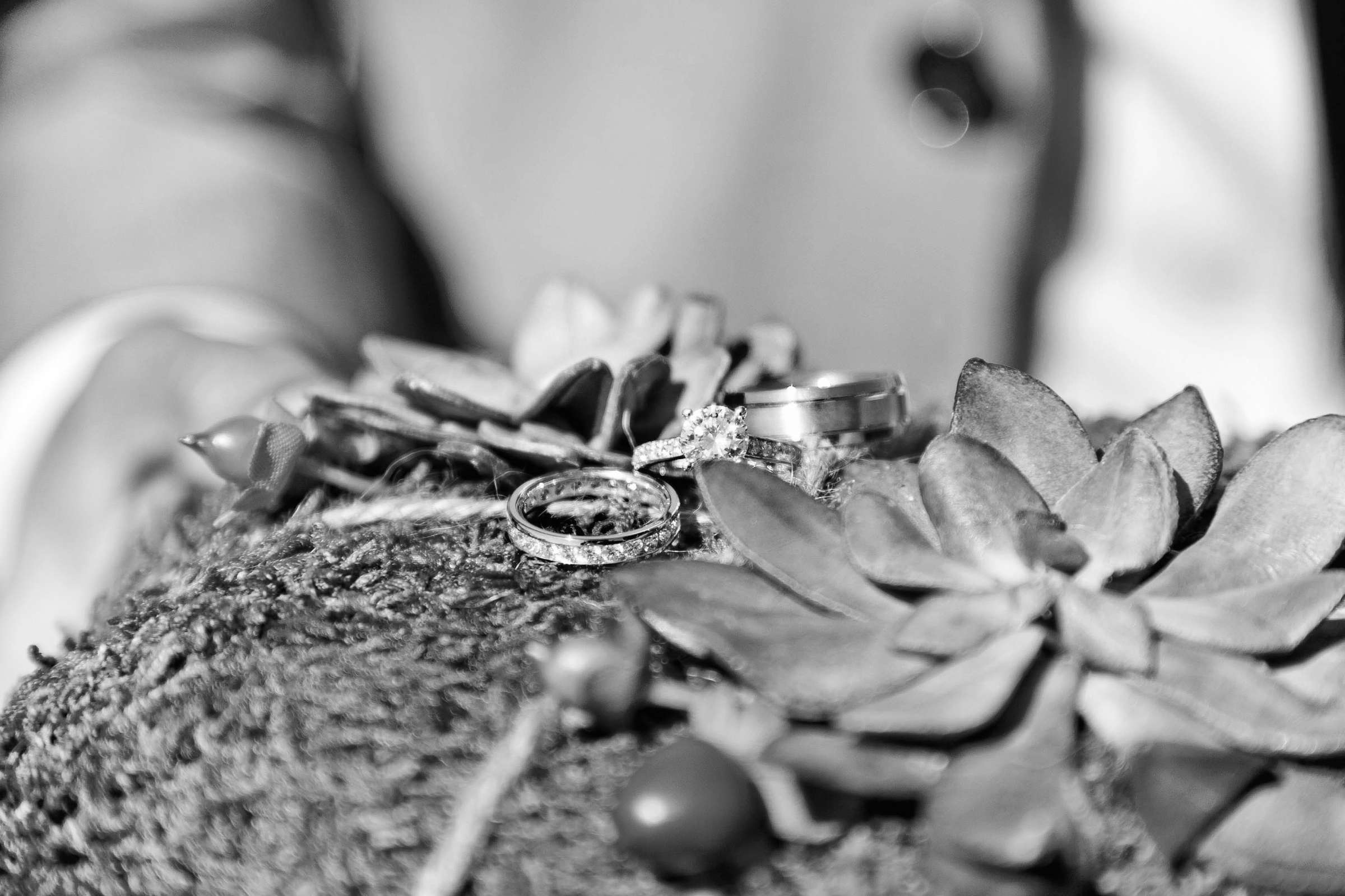 The Trump National Golf Club Rancho Palos Verdes Wedding, Christie and Johan Wedding Photo #302464 by True Photography