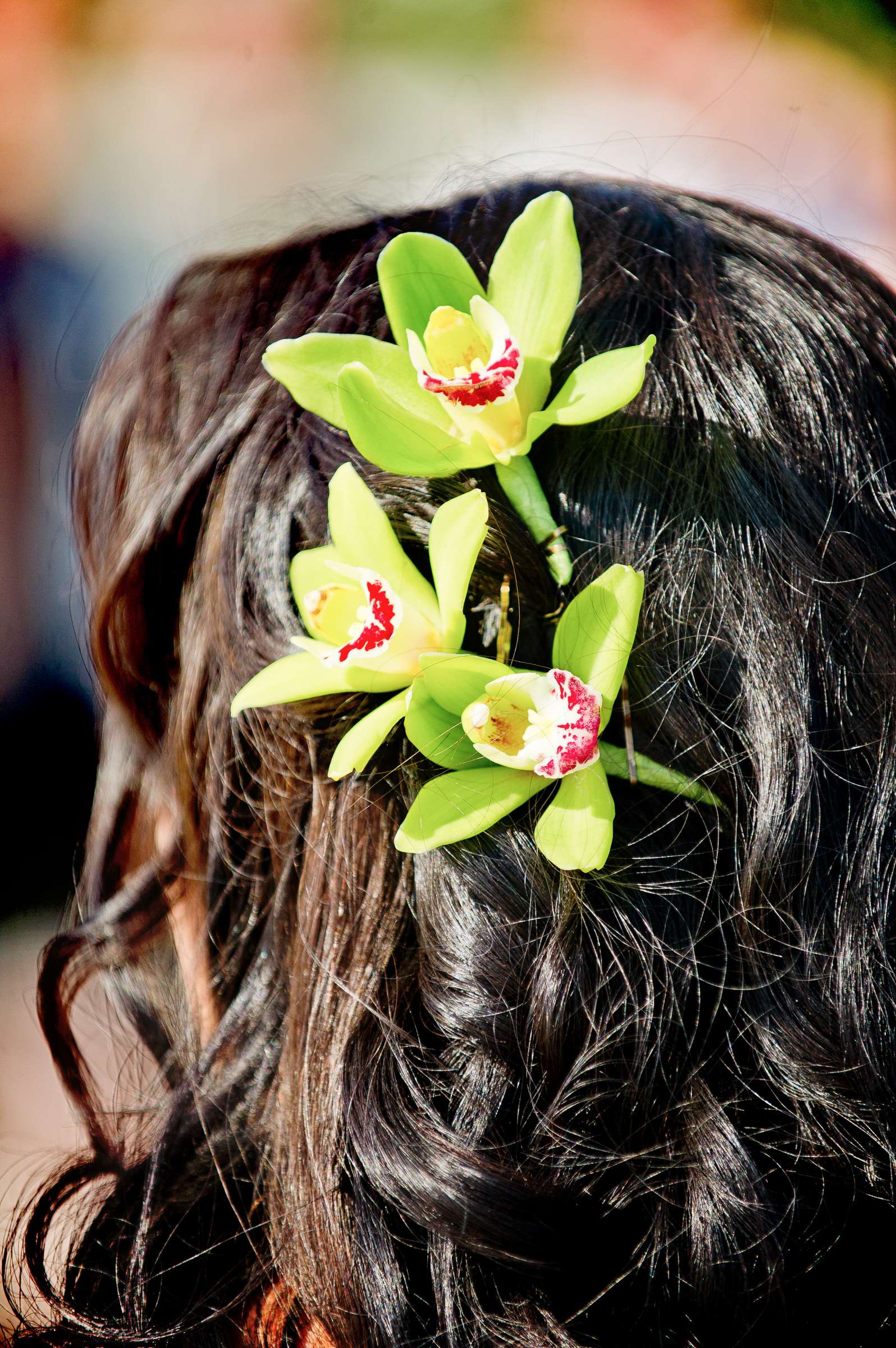 Hotel Del Coronado Wedding, Adriana and Blake Wedding Photo #306486 by True Photography