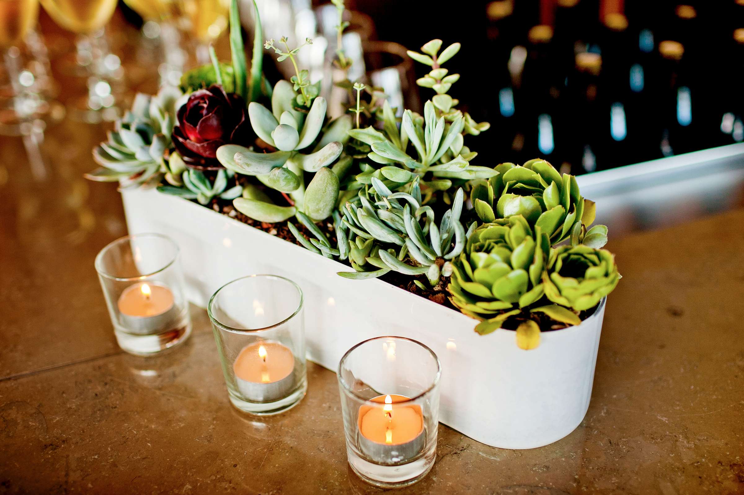 Hotel Del Coronado Wedding, Adriana and Blake Wedding Photo #306509 by True Photography