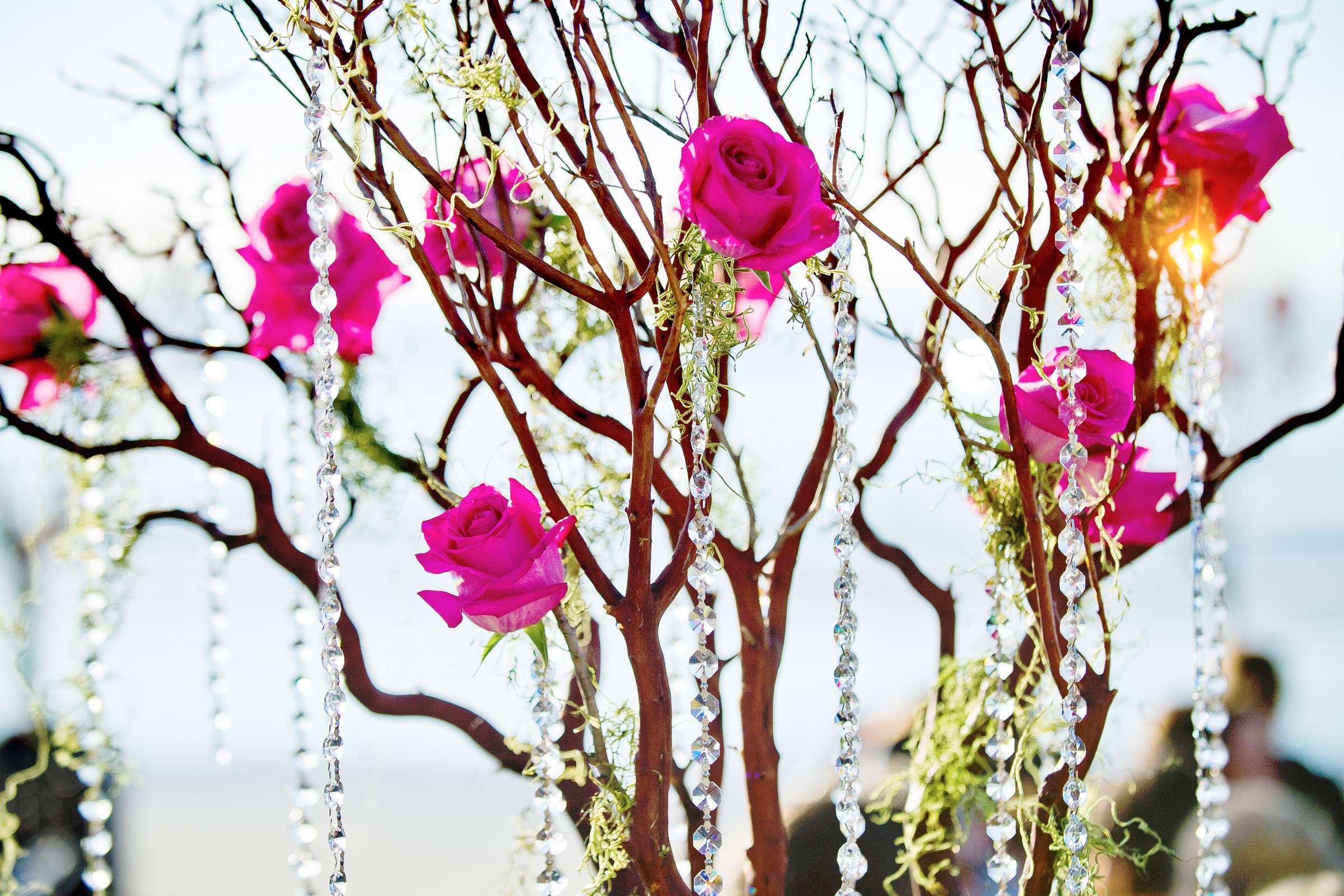 Scripps Seaside Forum Wedding coordinated by Details Defined, Heather and Gabe Wedding Photo #310297 by True Photography