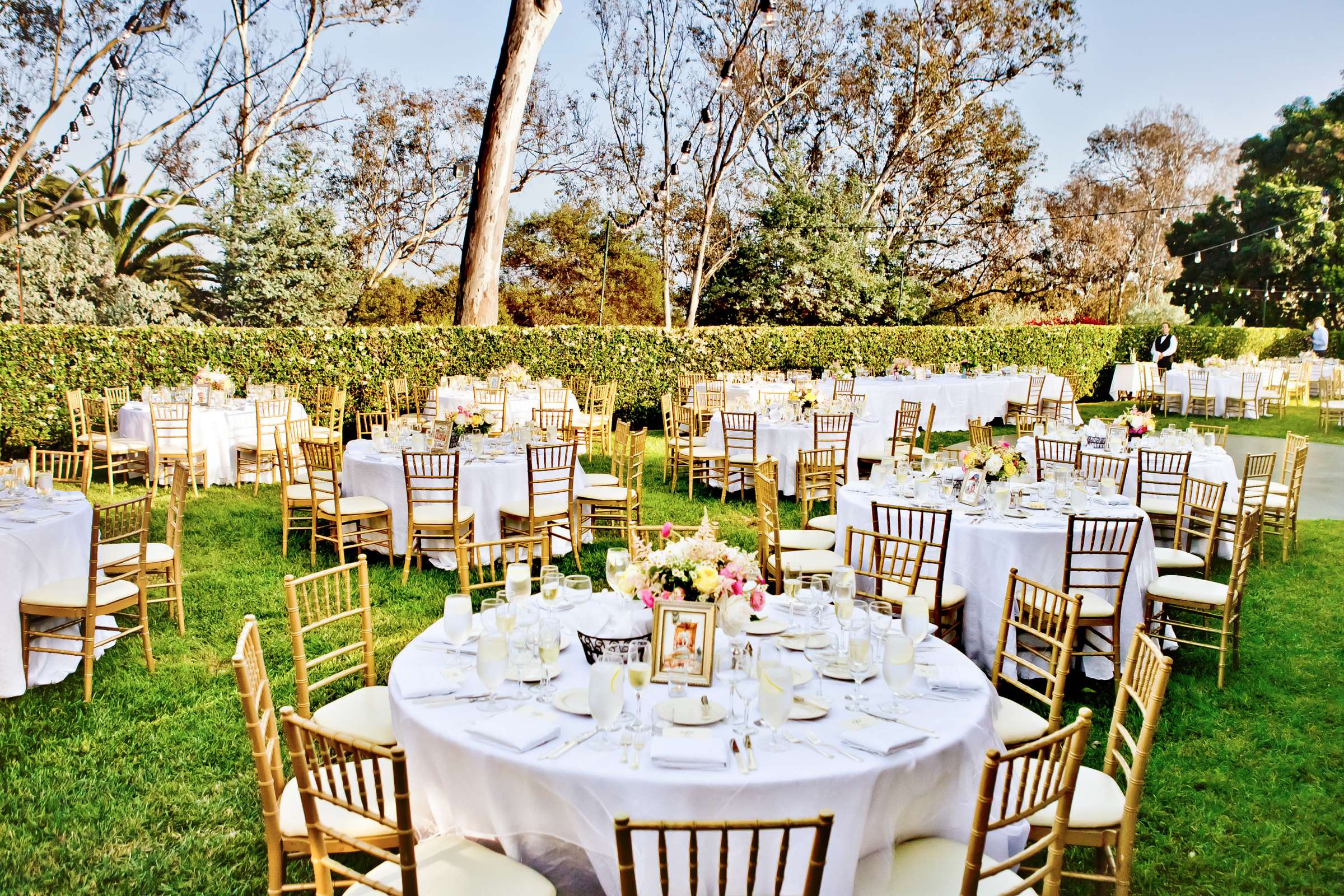 Wedding coordinated by Elisa Trotter, Catherine and Daniel Wedding Photo #312789 by True Photography