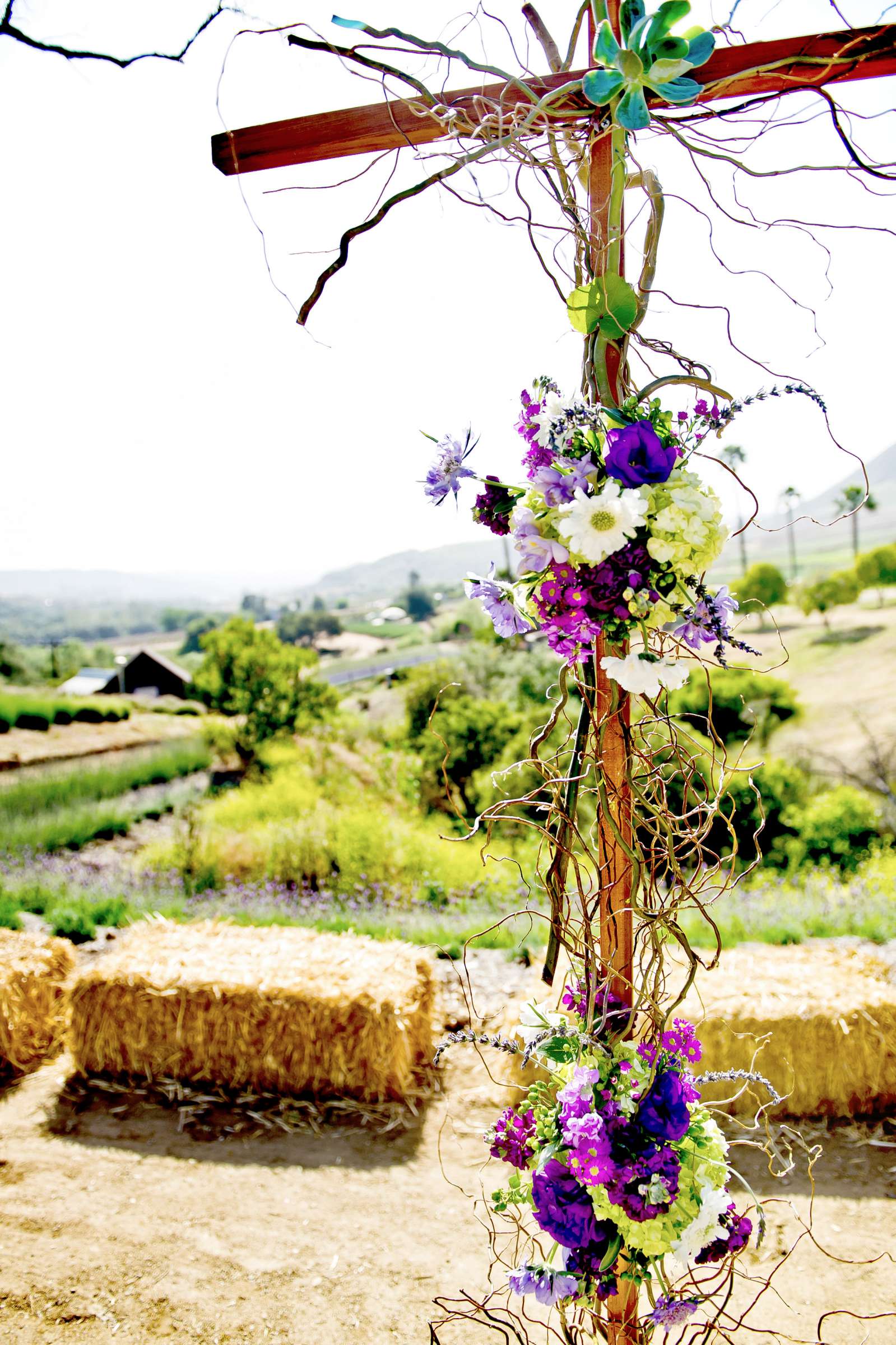 Keys Creek Lavender Farms Wedding coordinated by A Diamond Celebration, Ashley and James Wedding Photo #312859 by True Photography