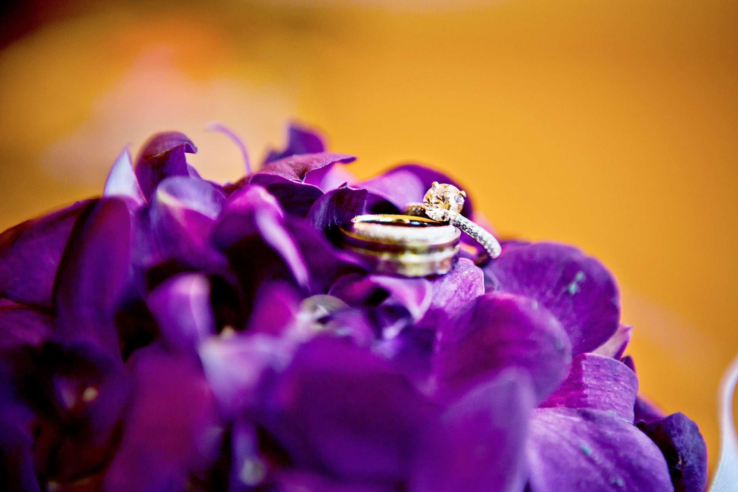 Scripps Seaside Forum Wedding coordinated by I Do Weddings, Tamara and Andrew Wedding Photo #313007 by True Photography