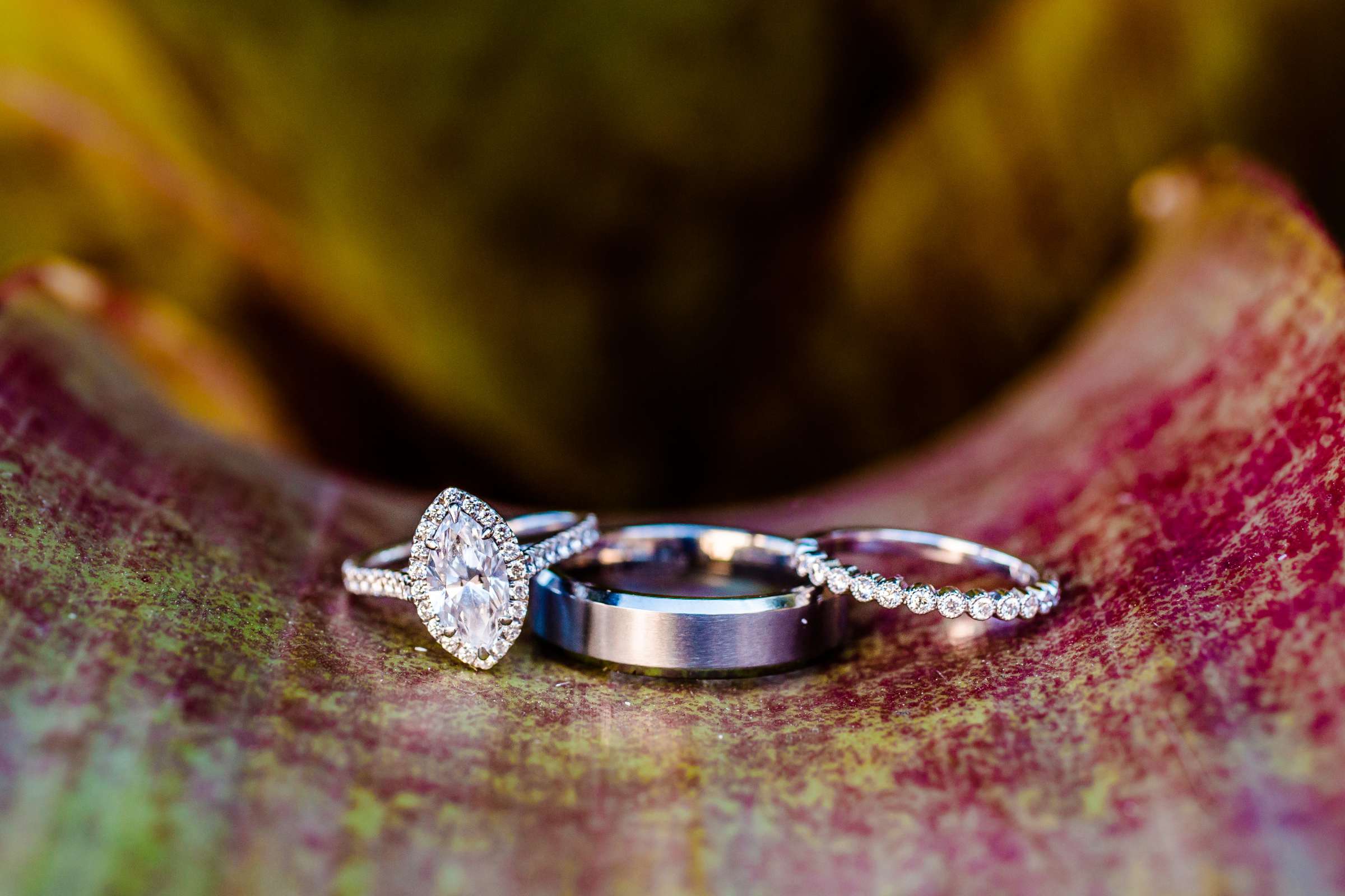 Rings at Scripps Seaside Forum Wedding, Mykella and Bronson Wedding Photo #313227 by True Photography