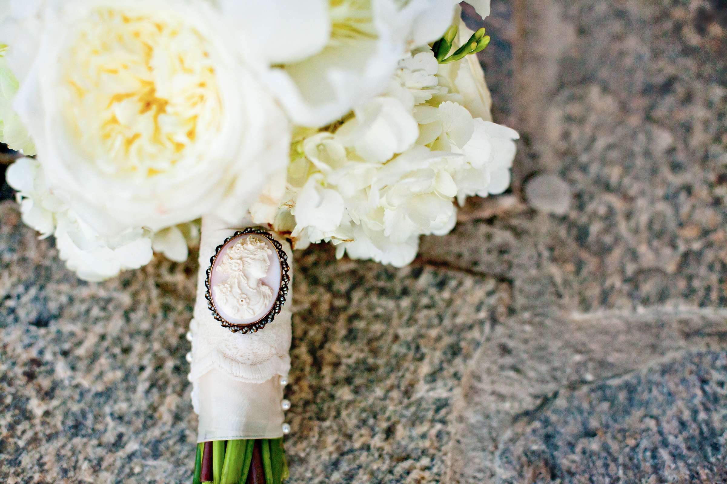 Coronado Island Marriott Resort & Spa Wedding coordinated by Creative Affairs Inc, Heather and Luke Wedding Photo #313592 by True Photography