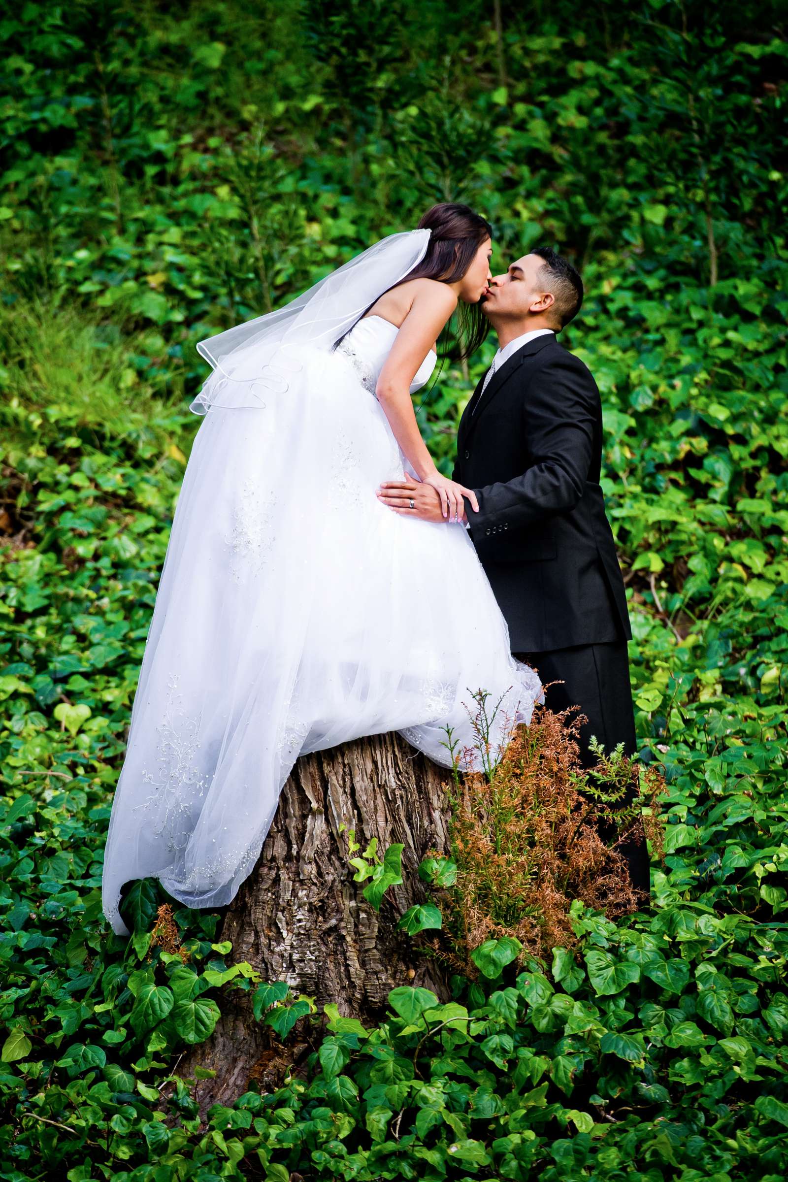 Hyatt Regency Mission Bay Wedding, Annie and Louie Wedding Photo #316312 by True Photography