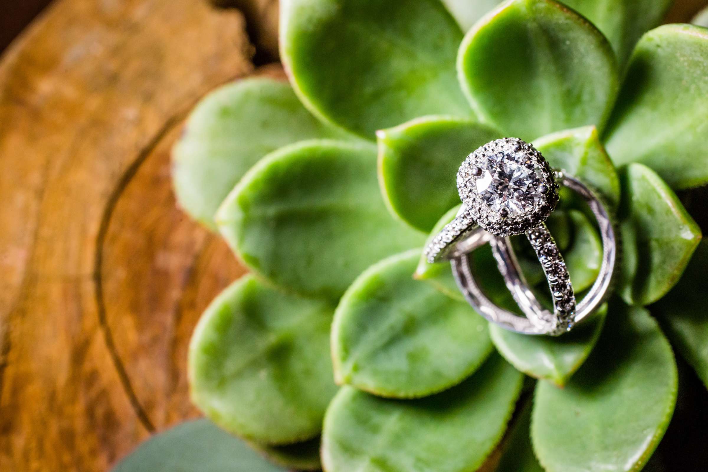 Rings at Scripps Seaside Forum Wedding coordinated by I Do Weddings, Kris and Ross Wedding Photo #9 by True Photography