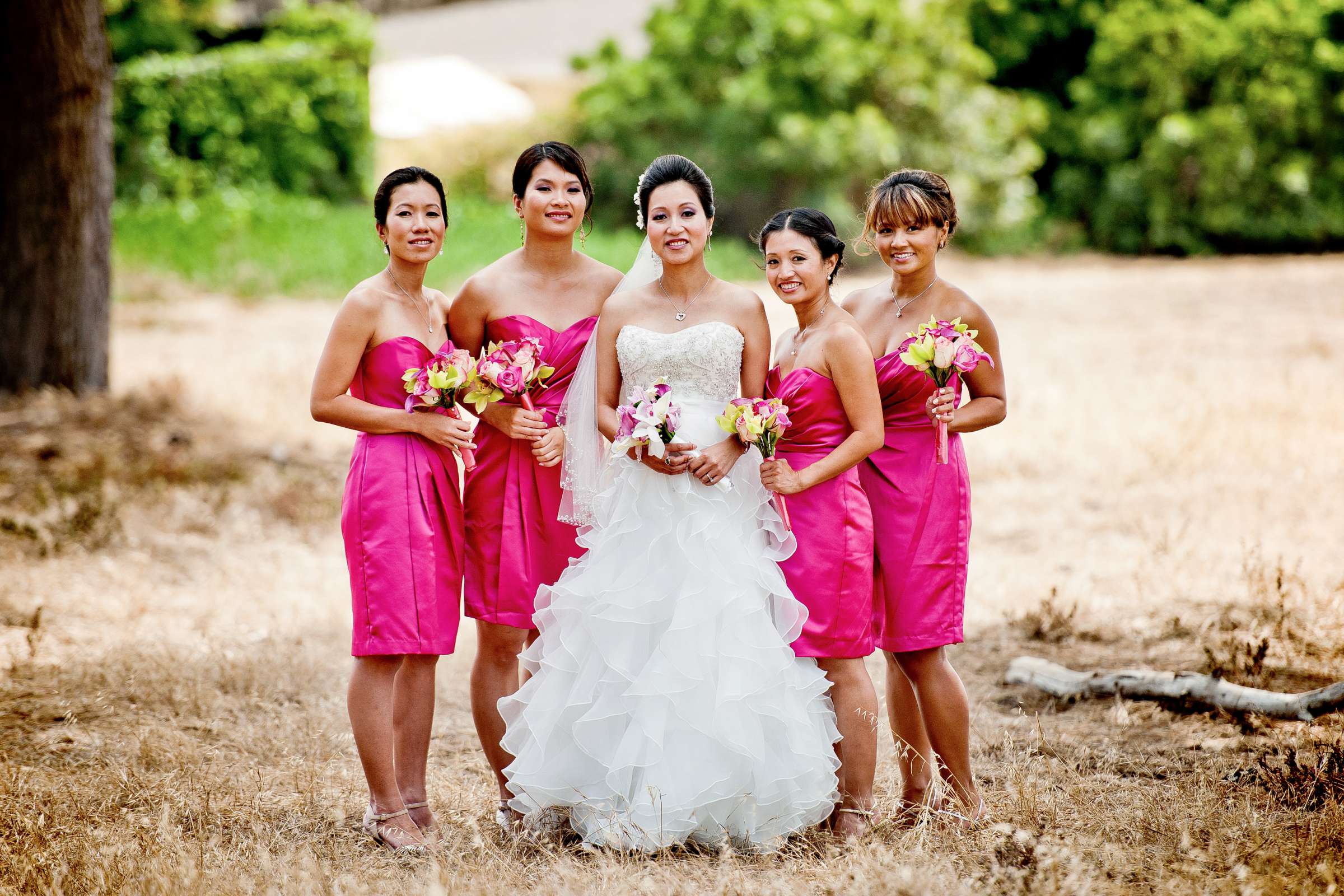 Wedding, Christy and Thomas Wedding Photo #318421 by True Photography