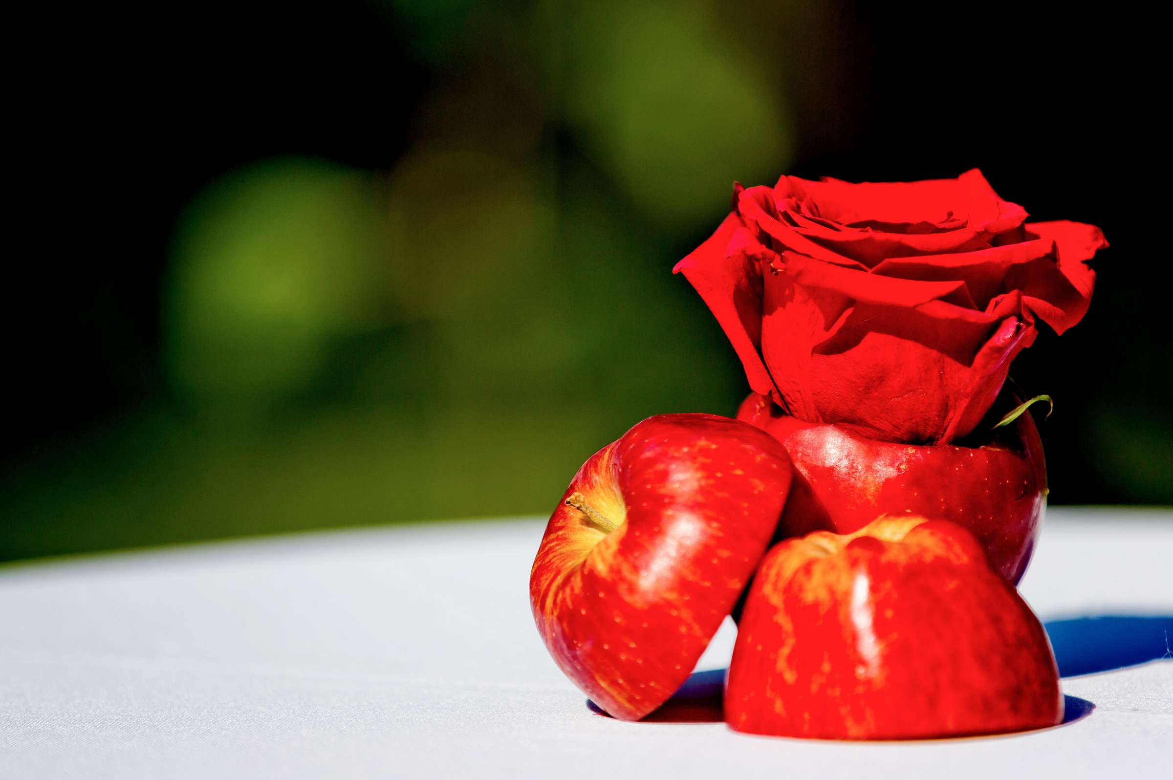 Orfila Vineyards Wedding coordinated by I Do Weddings, Apple and Ben Wedding Photo #34 by True Photography