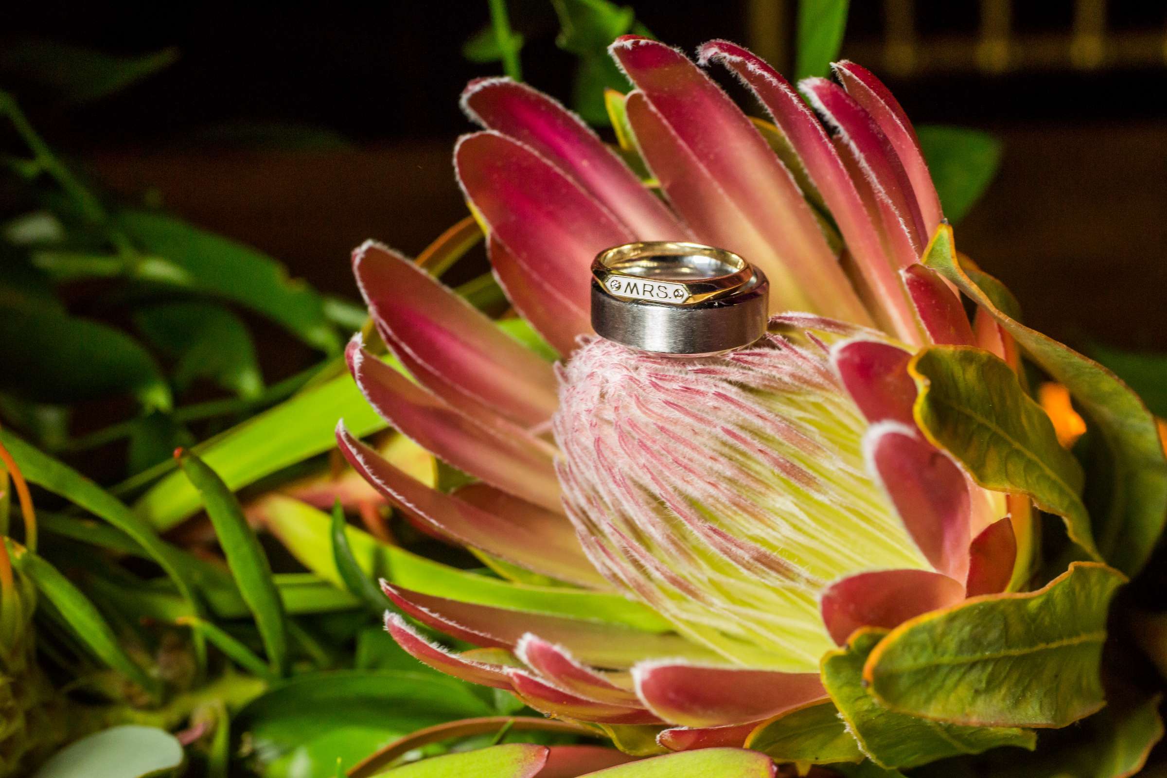 Scripps Seaside Forum Wedding coordinated by Aquilone Events, Meg and Adam Wedding Photo #320915 by True Photography