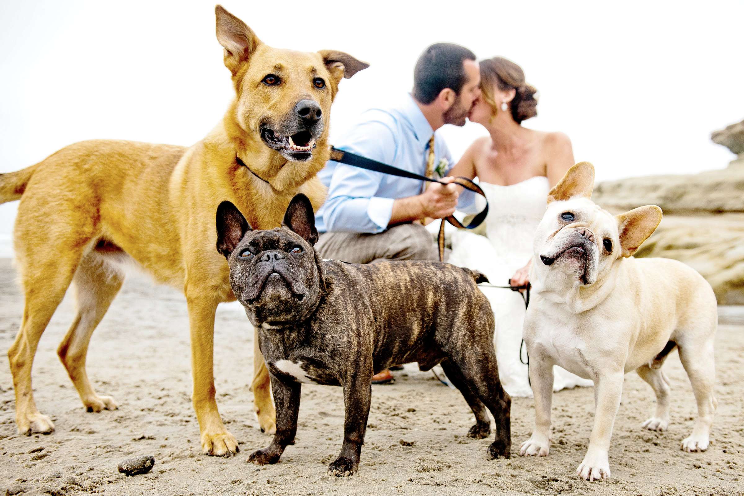 The Brigantine Del Mar Wedding coordinated by Free Spirit Weddings, Elizabeth and Corey Wedding Photo #321128 by True Photography