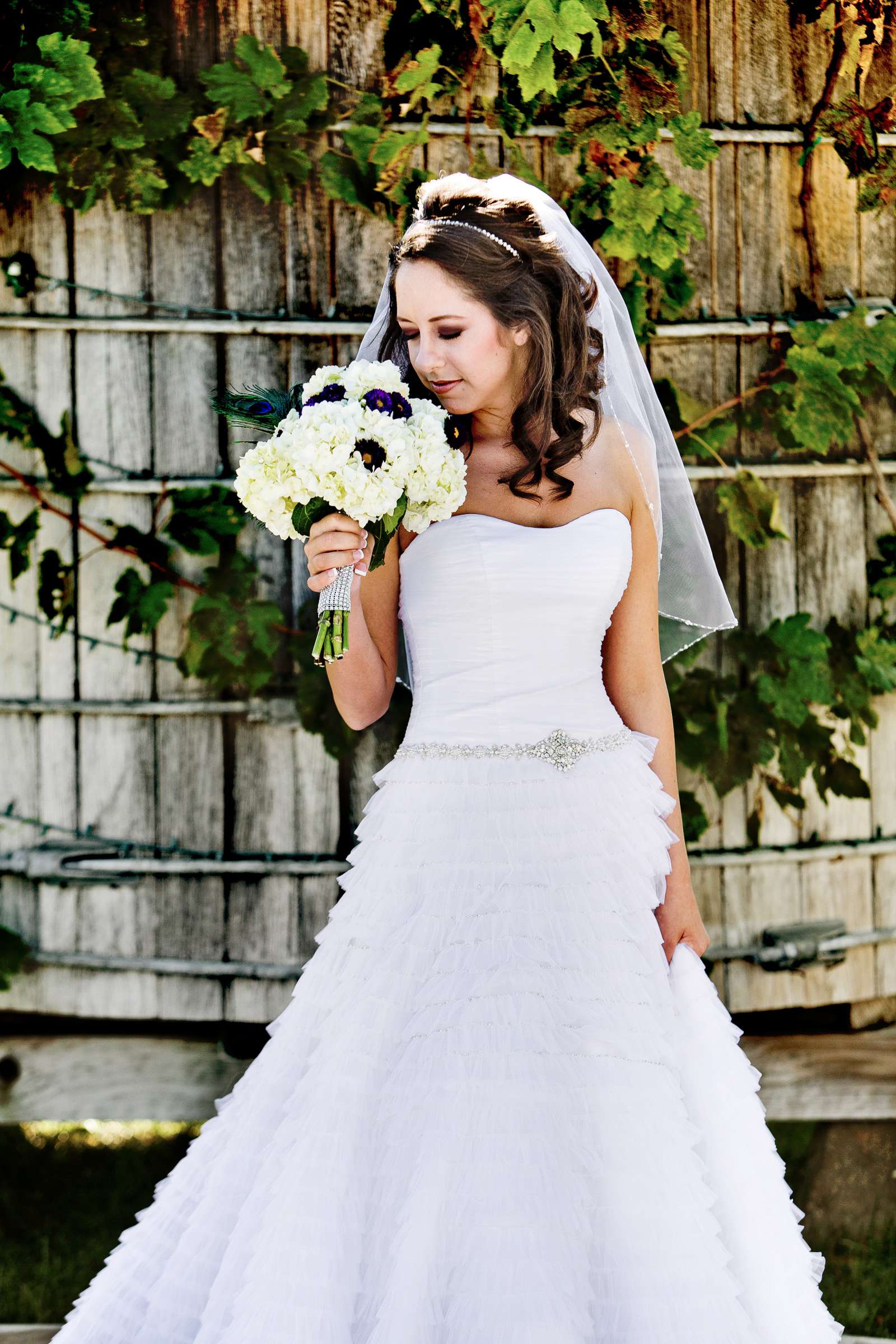 Mount Palomar Winery Wedding, Brandi and Jason Wedding Photo #321624 by True Photography