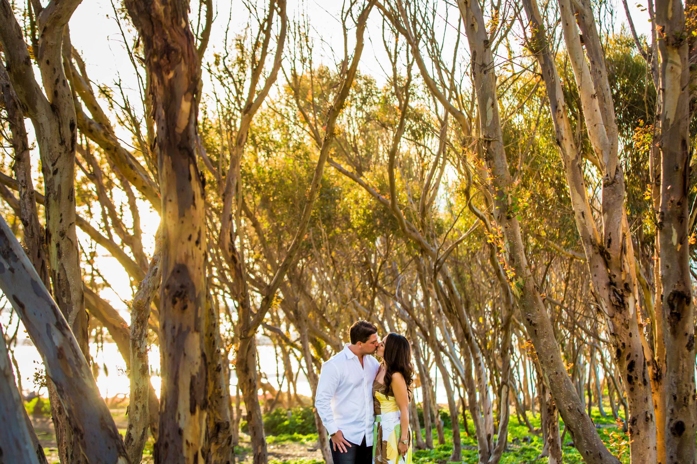 Engagement, Christal and Baltasar Engagement Photo #1 by True Photography