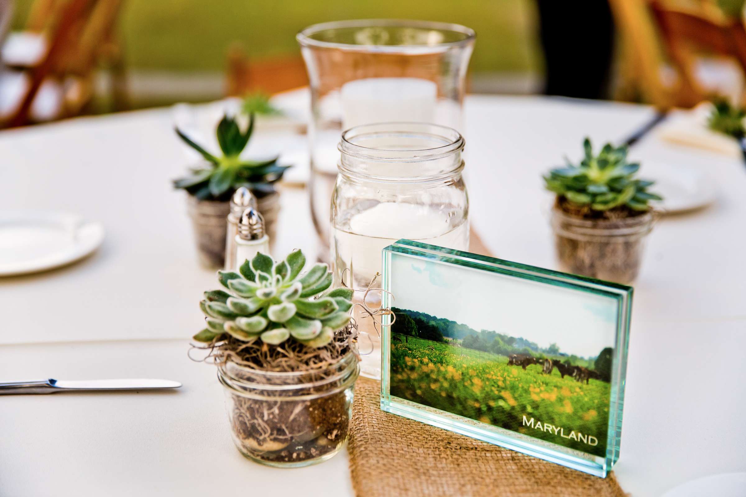 Temecula Creek Inn Wedding, Elizabeth and Natasha Wedding Photo #325830 by True Photography