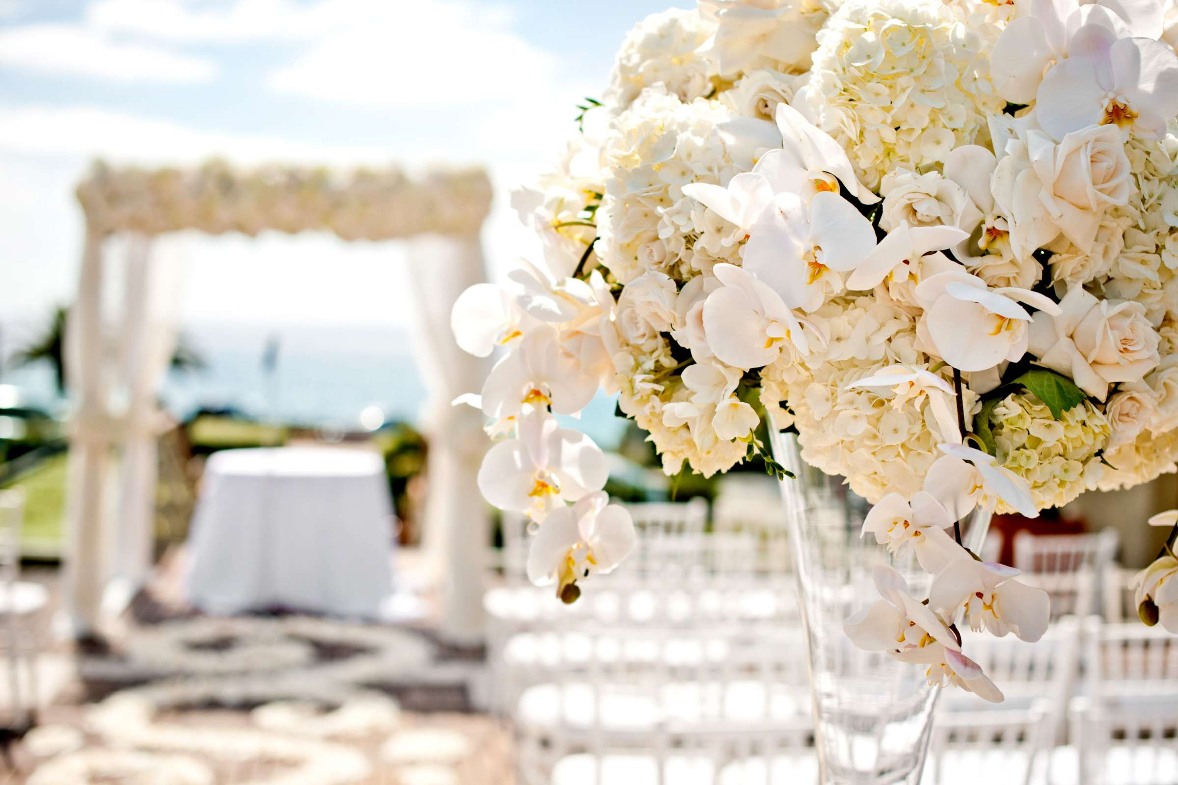 L'Auberge Wedding coordinated by Adele Meehan, Aleshia and Del Wedding Photo #328834 by True Photography