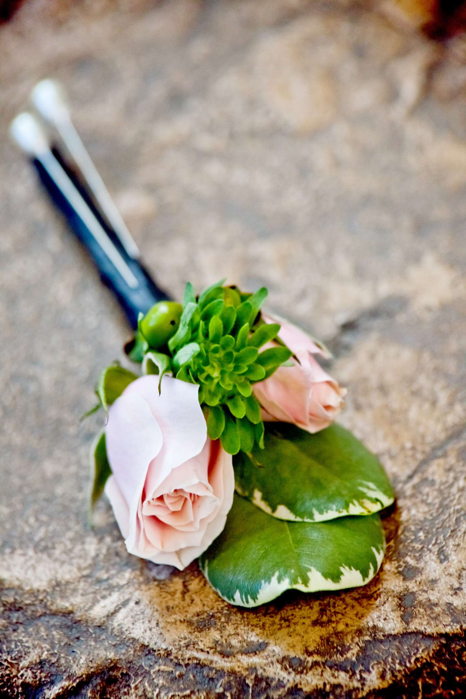 Hilton La Jolla Torrey Pines Wedding, Jaya and John Wedding Photo #328920 by True Photography