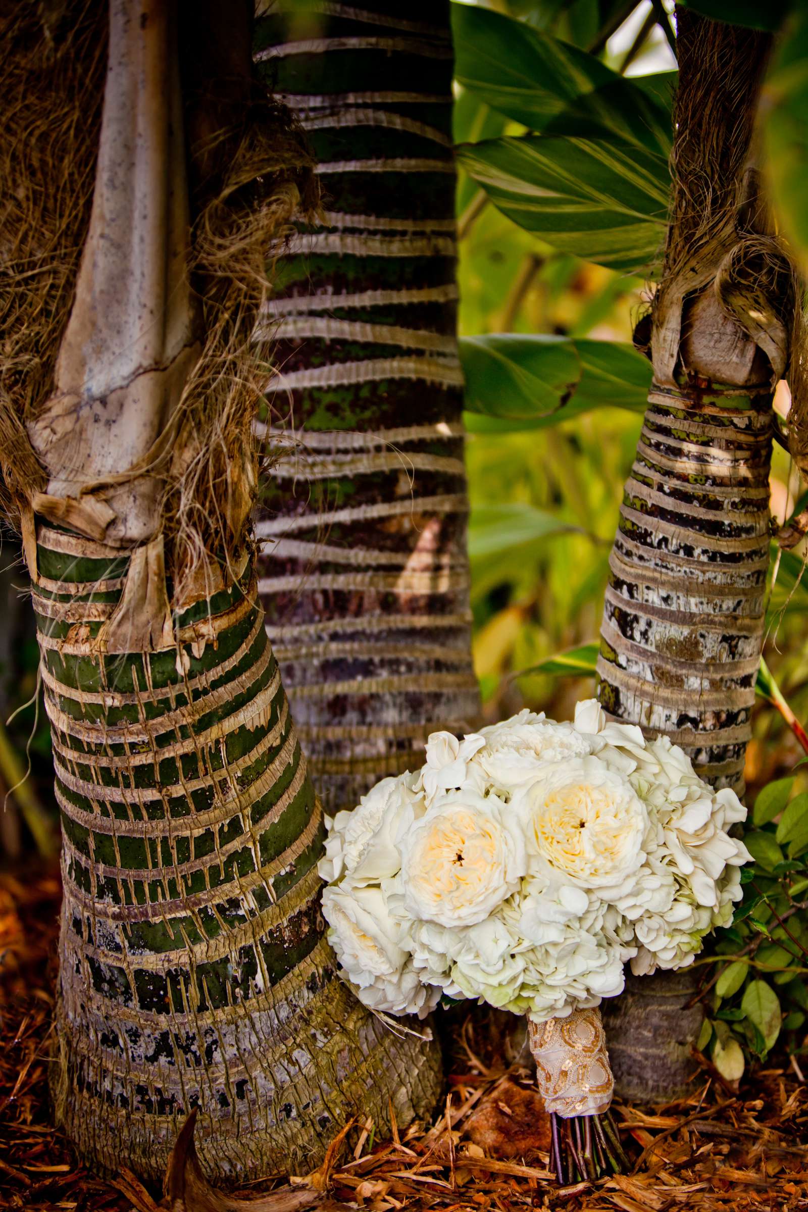 Private Residence Wedding, Caroline and Steve Wedding Photo #333478 by True Photography