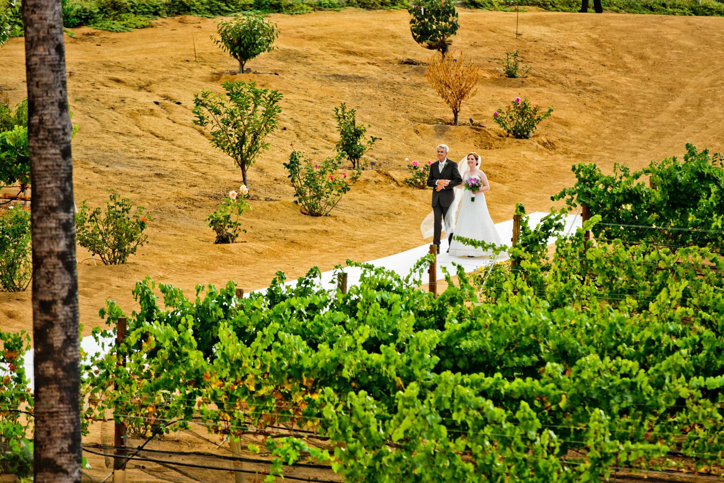 Wedding coordinated by First Comes Love Weddings & Events, Katherine and Joel Wedding Photo #333629 by True Photography