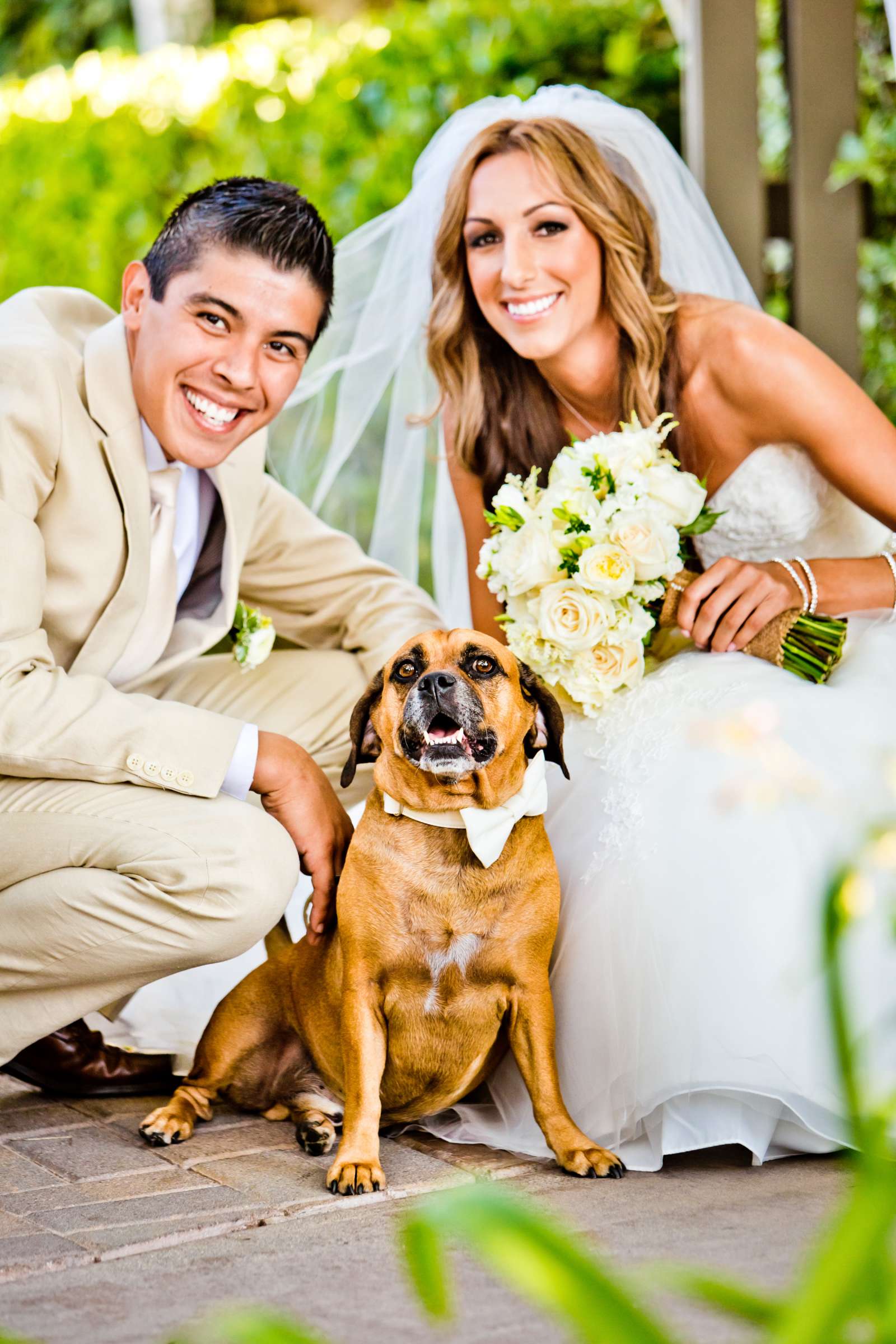 Ponte Estate Winery Wedding, Meagan and Adrian Wedding Photo #335086 by True Photography