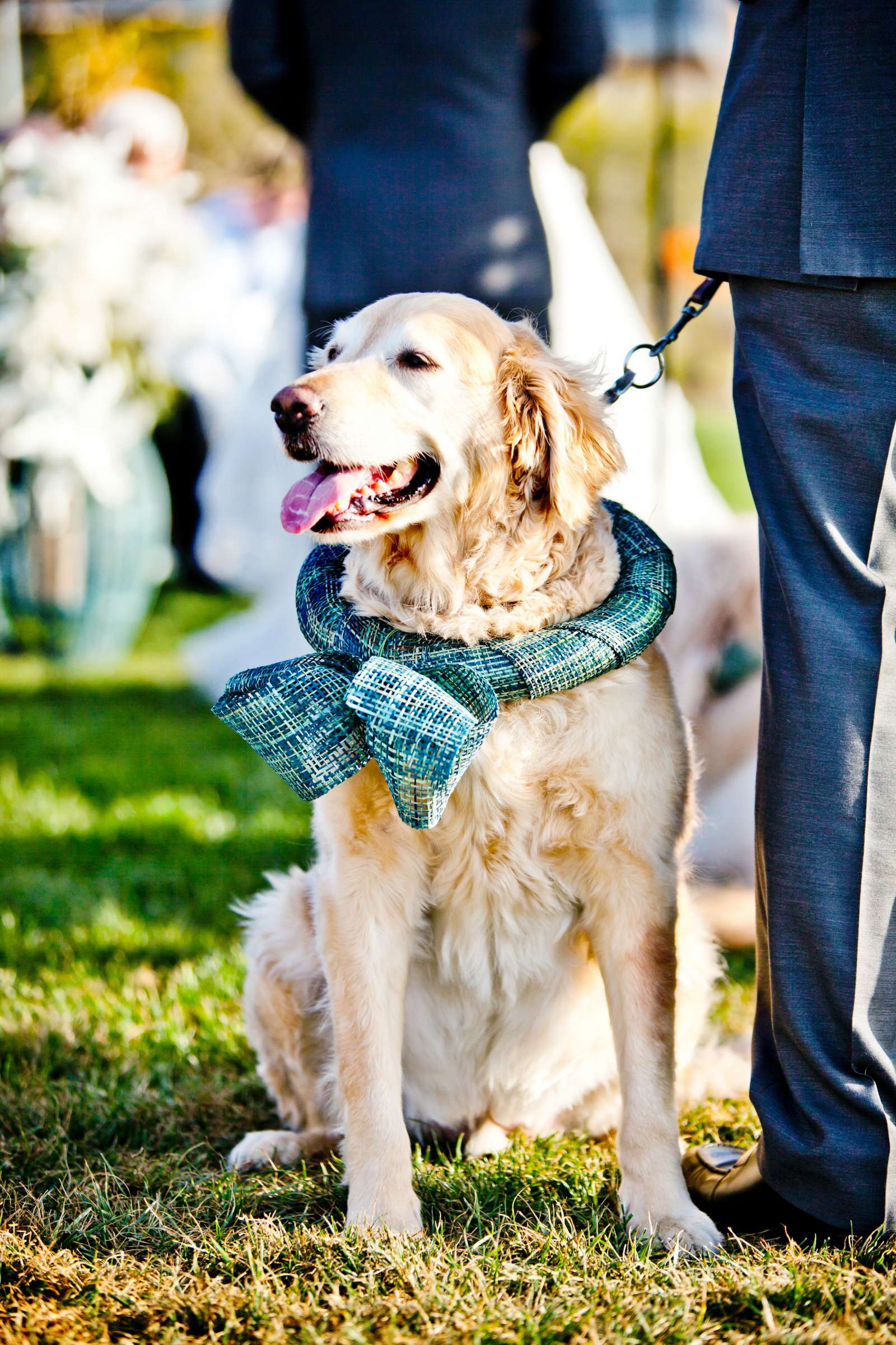 Scripps Seaside Forum Wedding coordinated by Coast Catering, Jamie and Danny Wedding Photo #335841 by True Photography