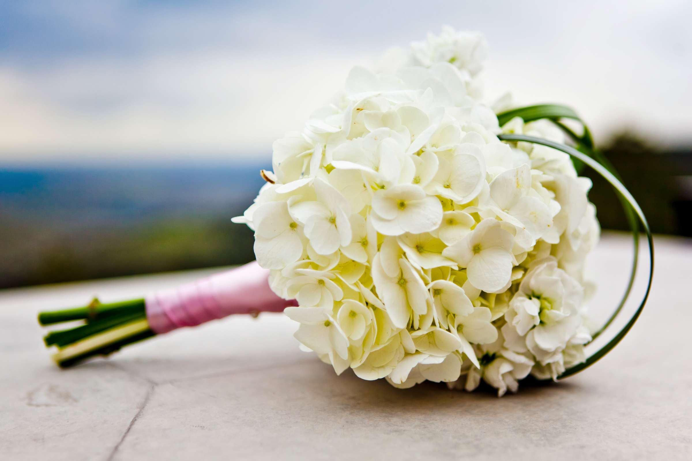 Mt. Vernon Canyon Club Wedding, Brittany and Ryan Wedding Photo #336847 by True Photography