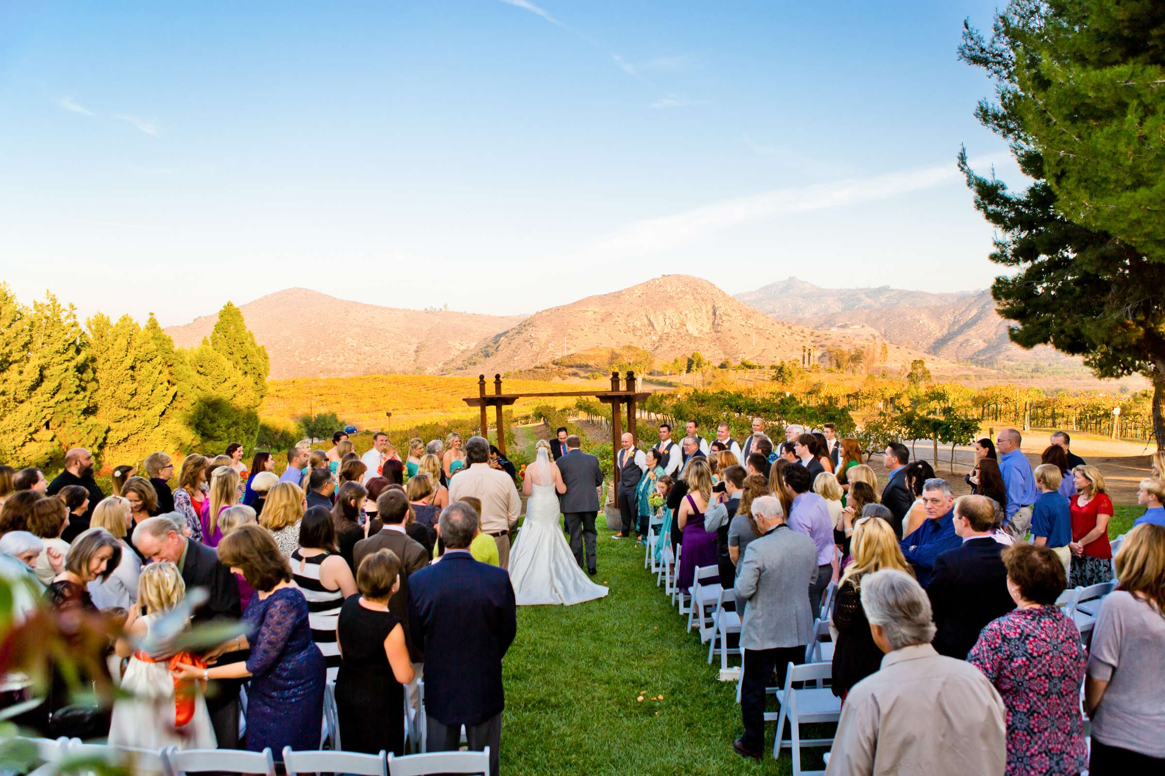 Orfila Vineyards Wedding, Katie and Spencer Wedding Photo #339597 by True Photography