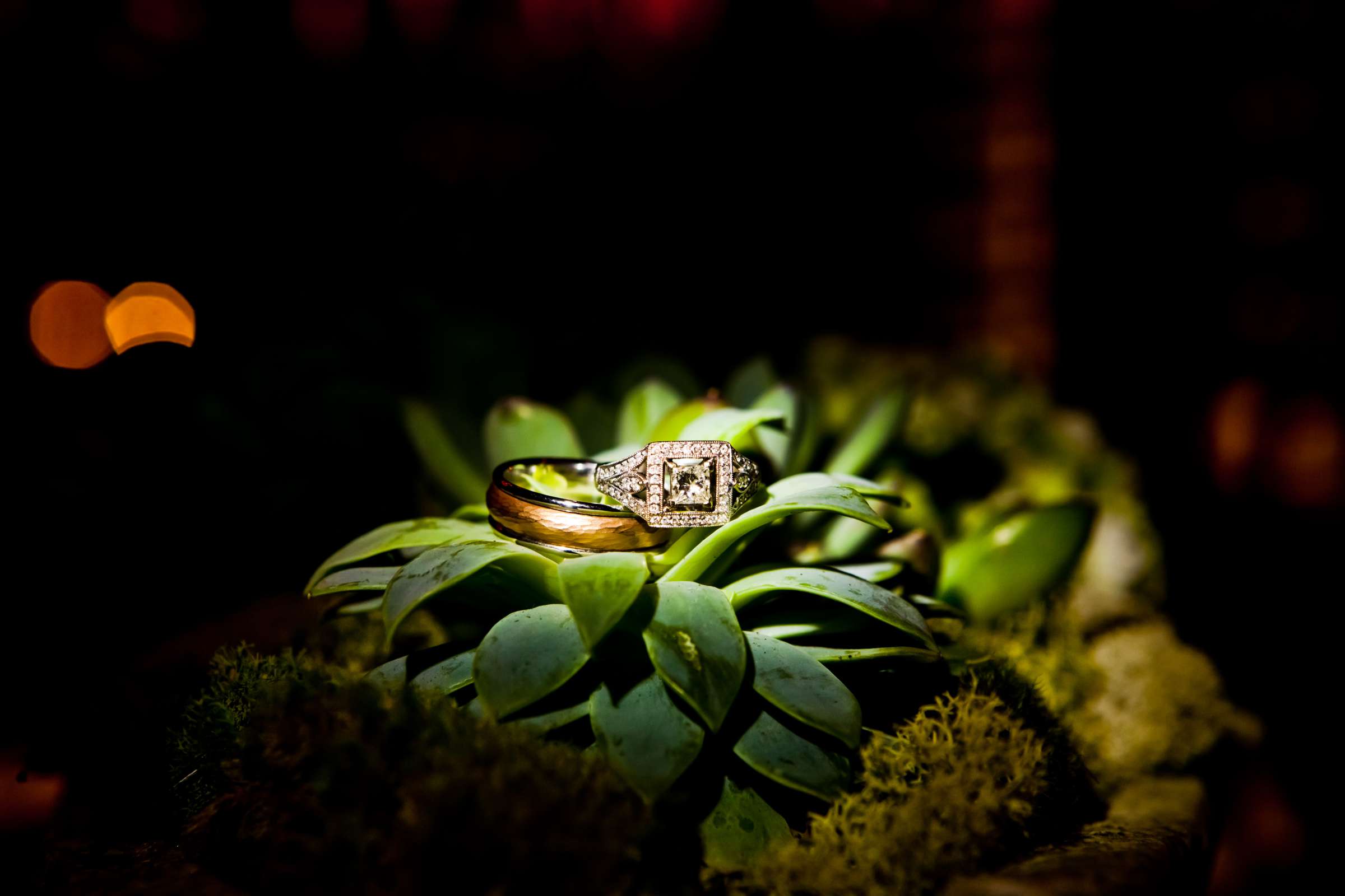 Rancho Valencia Wedding coordinated by Mint Weddings, Emily and Travis Wedding Photo #340805 by True Photography