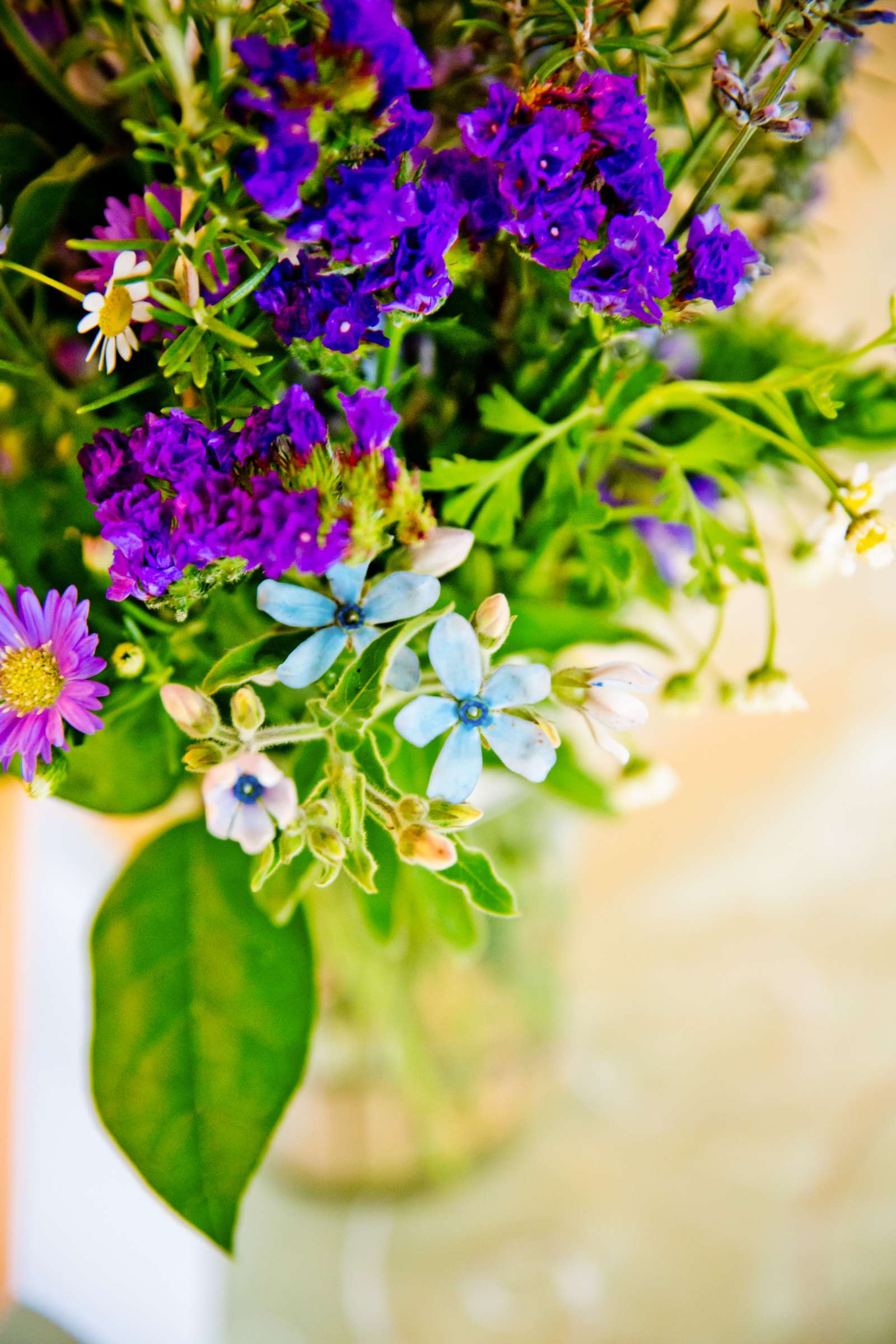 Chautauqua Dining Hall Wedding, Emily and Carl Wedding Photo #344378 by True Photography