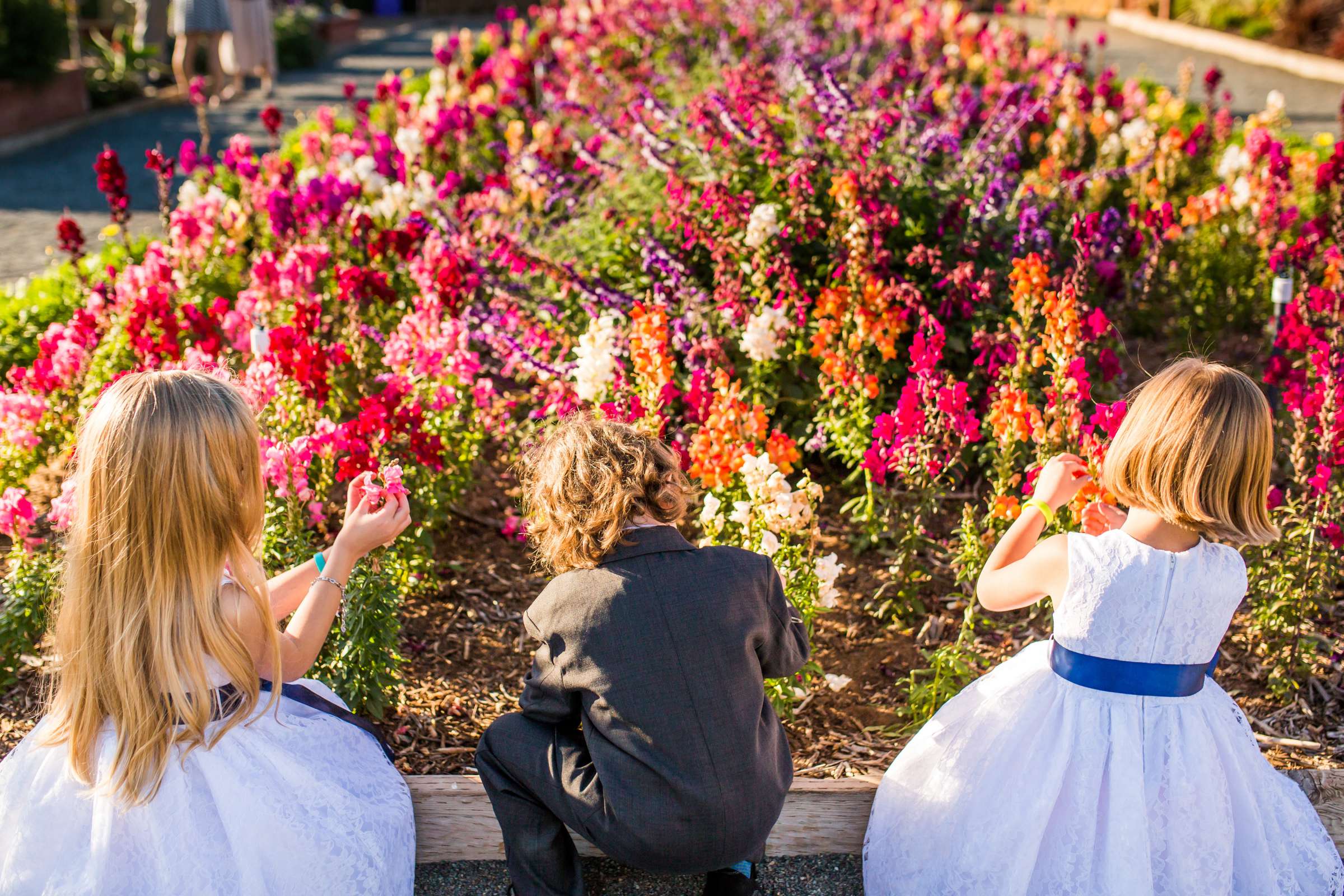 Kids at The Flower Fields at Carlsbad Ranch Wedding coordinated by Events by Jackie Fuhrman, Jenna and Kyle Wedding Photo #52 by True Photography