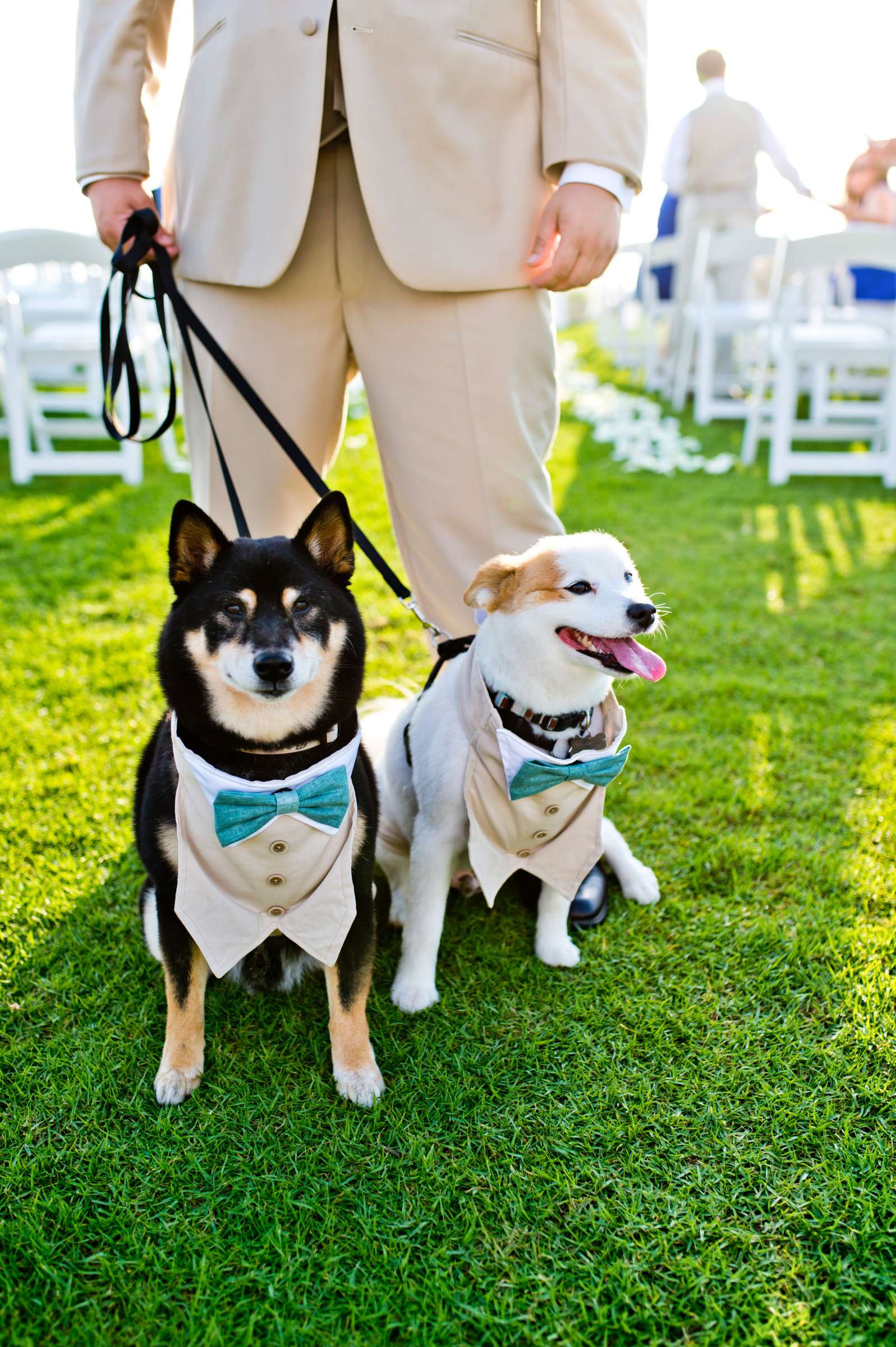 Sea World San Diego Wedding coordinated by Coastyle Events, Adriana and Michael Wedding Photo #346703 by True Photography