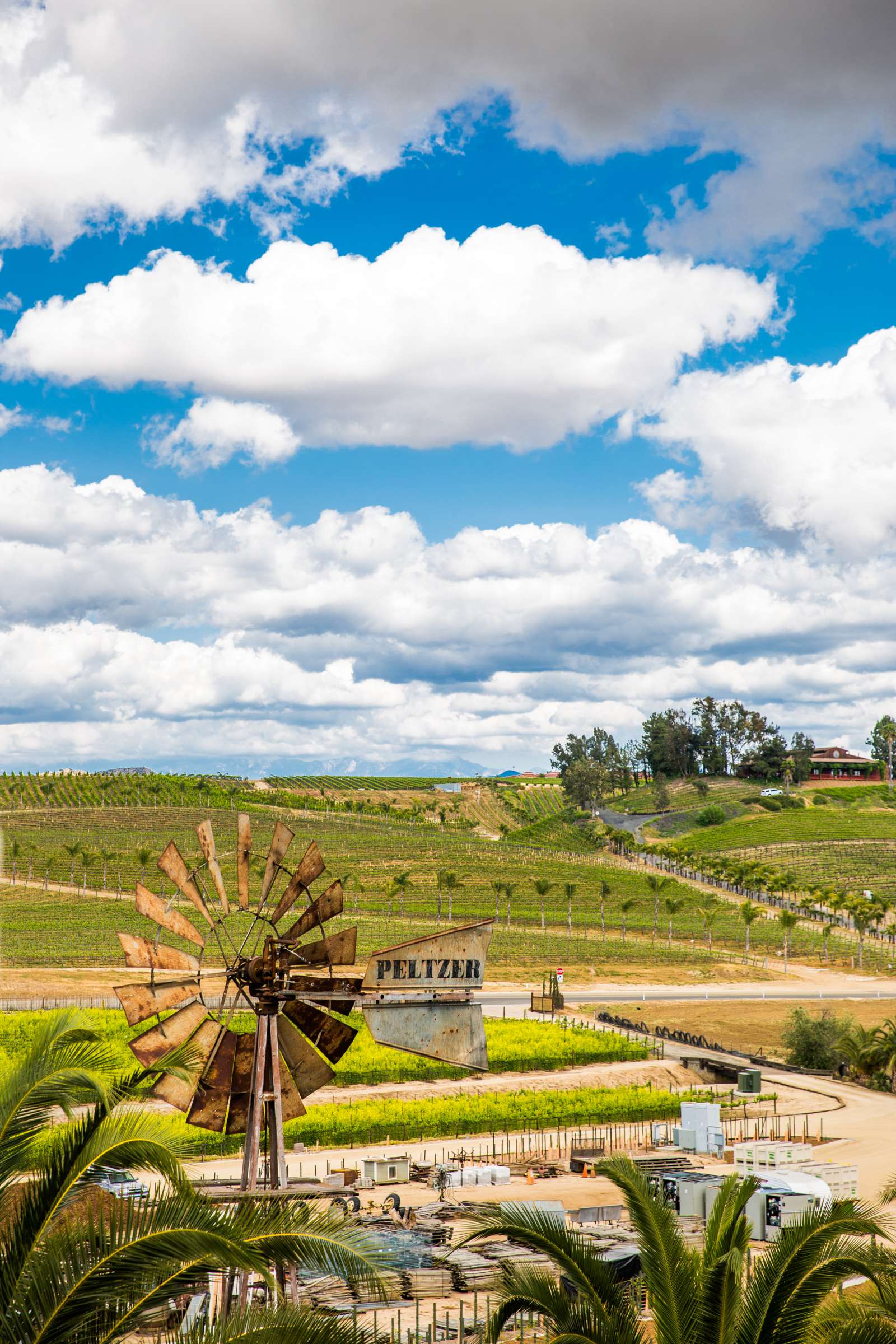 Peltzer Winery Wedding, Jaclyn and Nick Wedding Photo #28 by True Photography