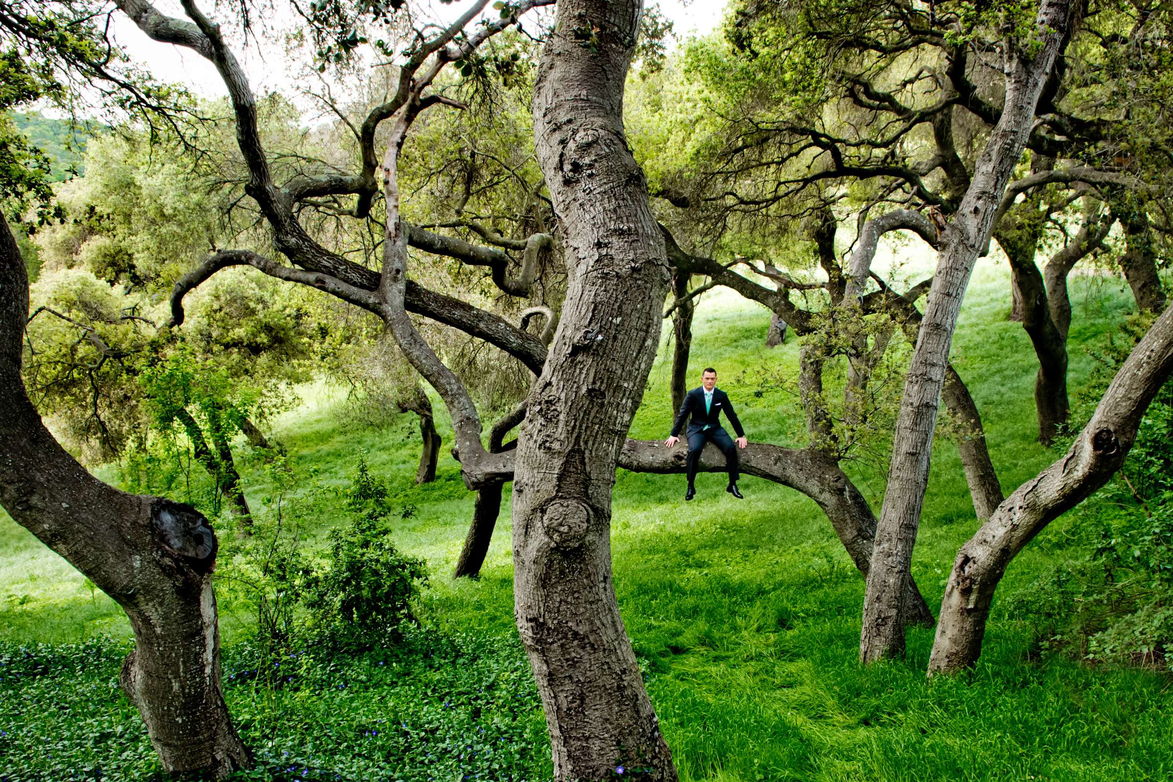 Holman Ranch Wedding, Kaley and Jason Wedding Photo #356228 by True Photography