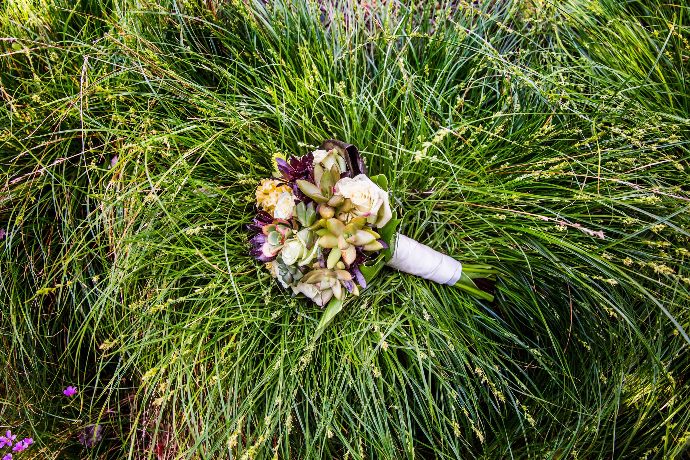 San Diego Botanic Garden Wedding, Alicia and Justin Wedding Photo #21 by True Photography