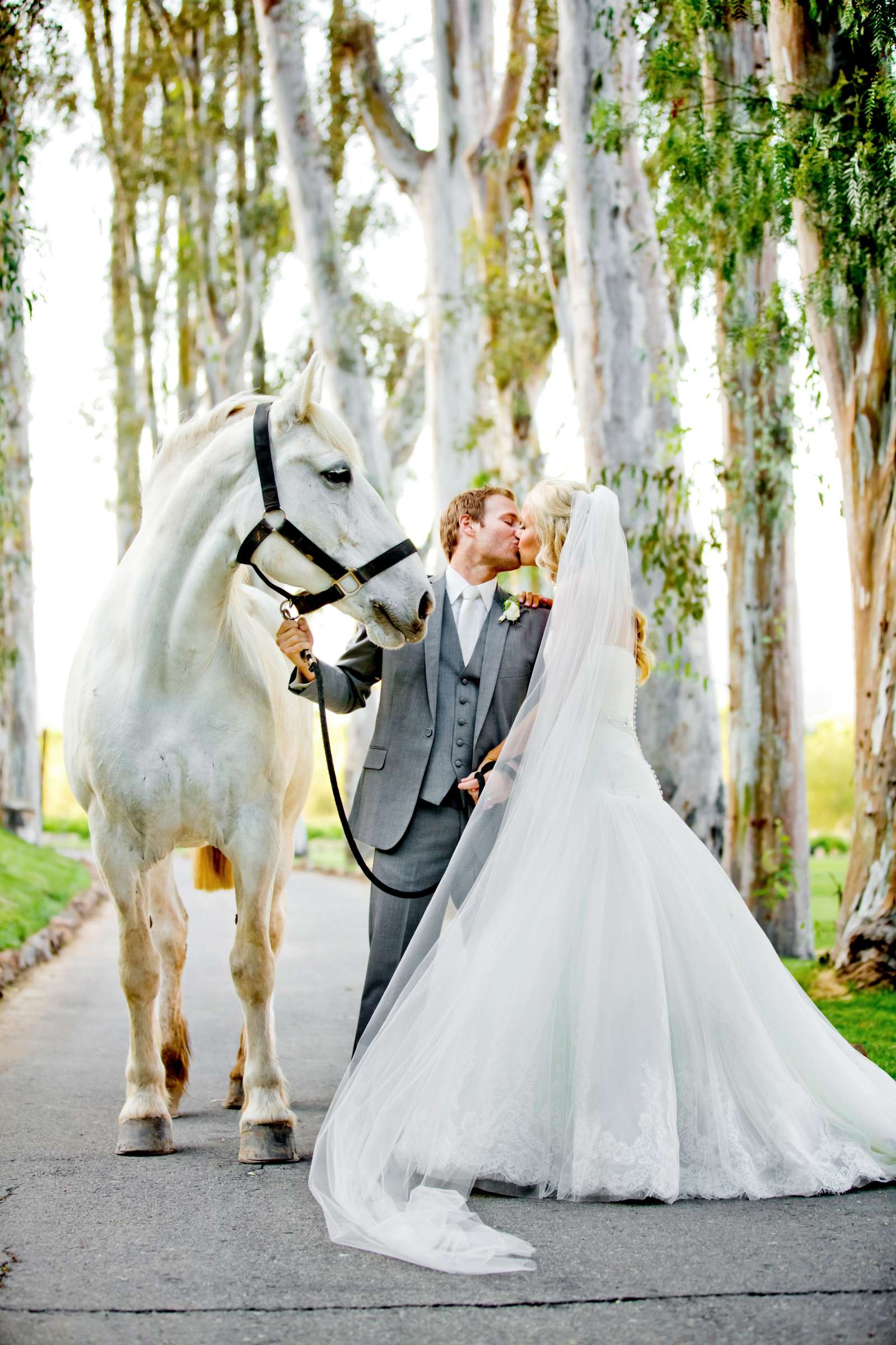 The Ranch at Bandy Canyon Wedding coordinated by Aquilone Events, Kelly and Graham Wedding Photo #357139 by True Photography